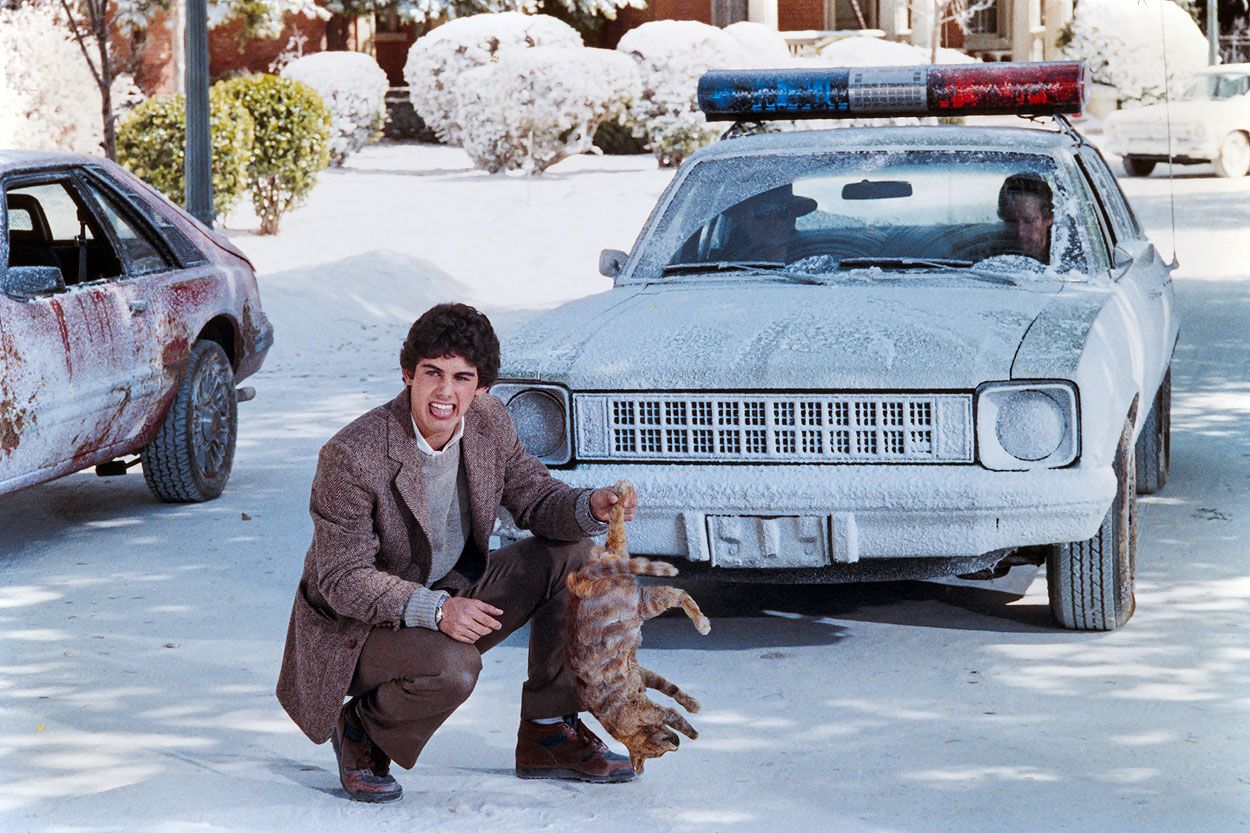 Billy saving a cat