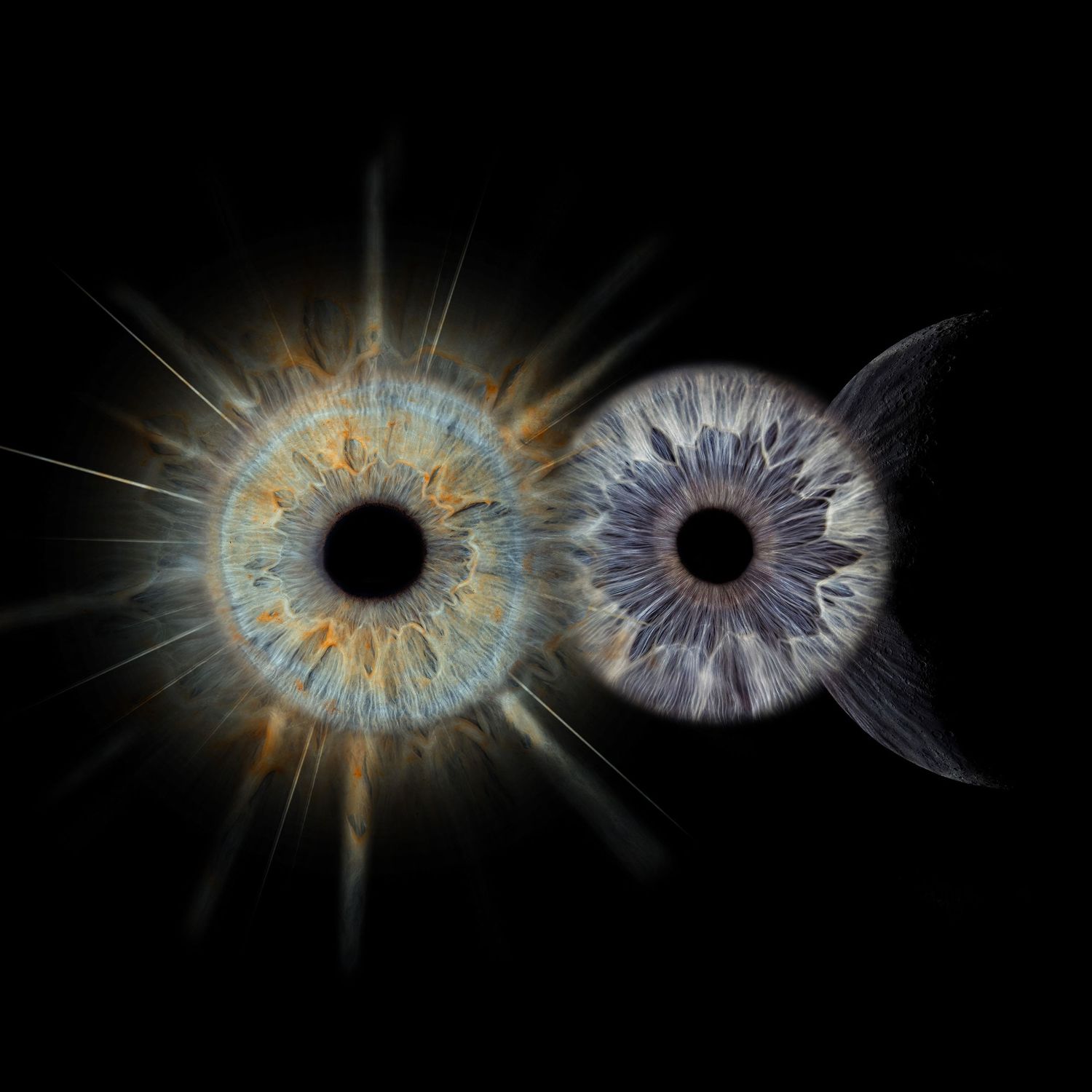 Series of colorful iris scans showing detailed patterns of human eyes with orange and purple tones against black backgrounds.