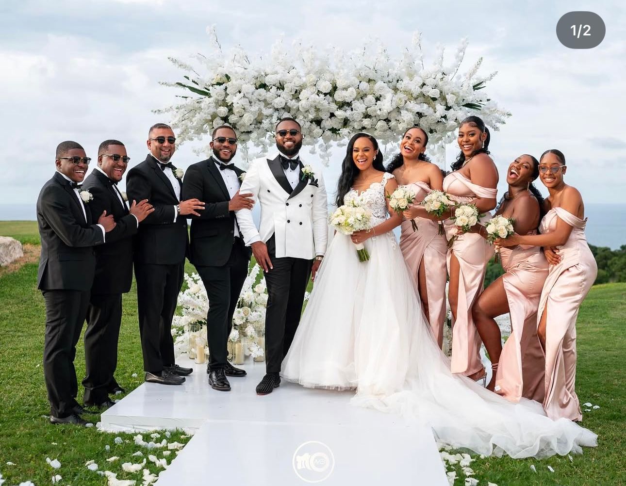 Wedding party in pink dresses and black suits poses together outdoors against a cloudy sky.