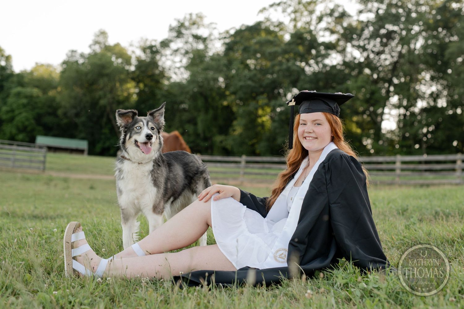 Graduate in cap and gown sits in grassy field with Australian Shepherd dog beside wooden fence.