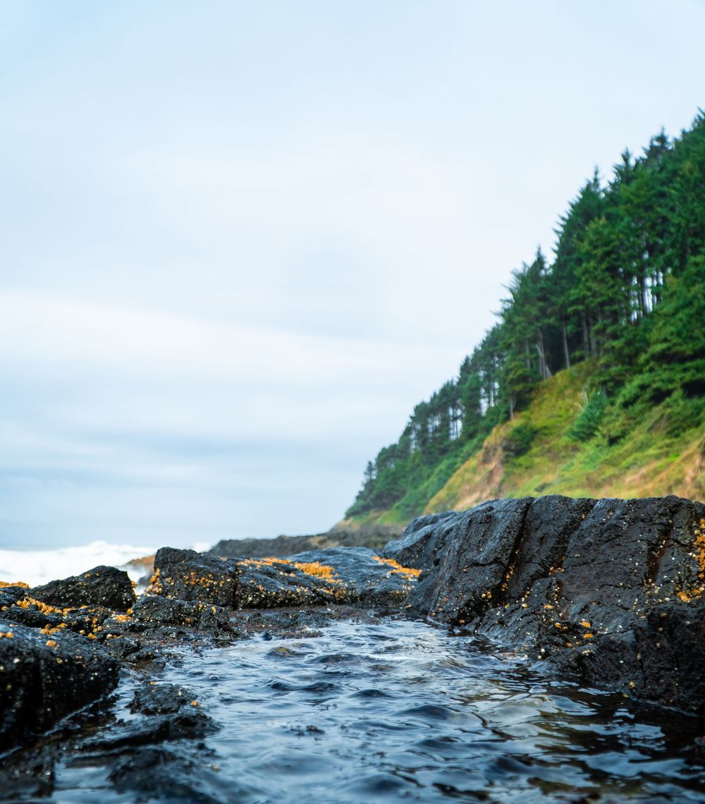 Rockpool overlooking the pacific