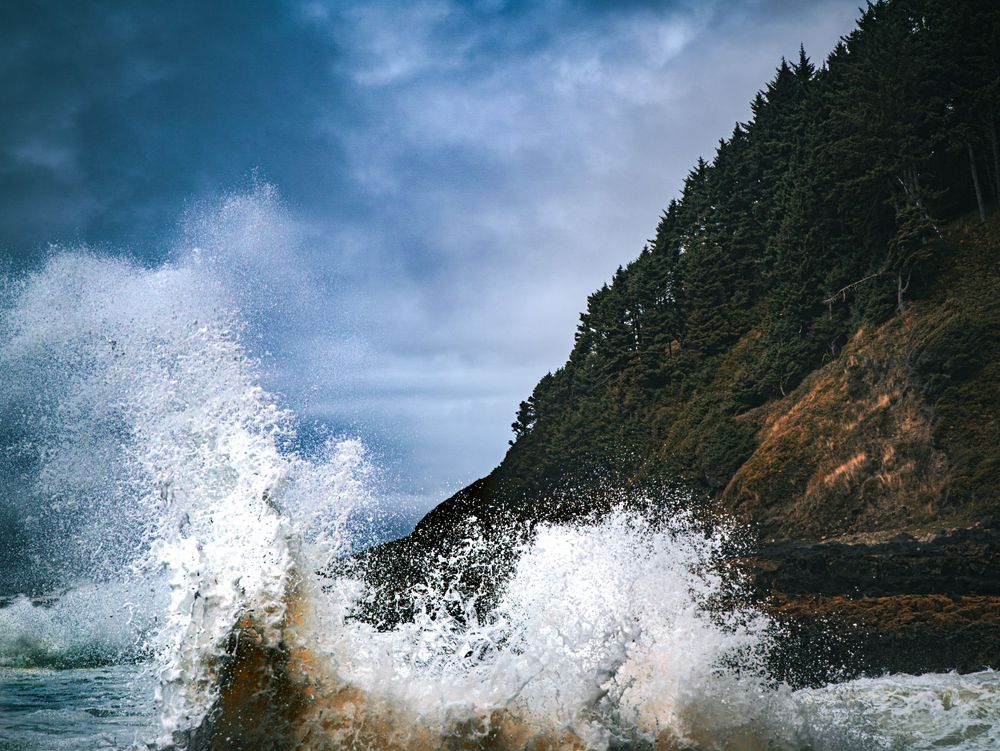 Ocean spray in front of a forest