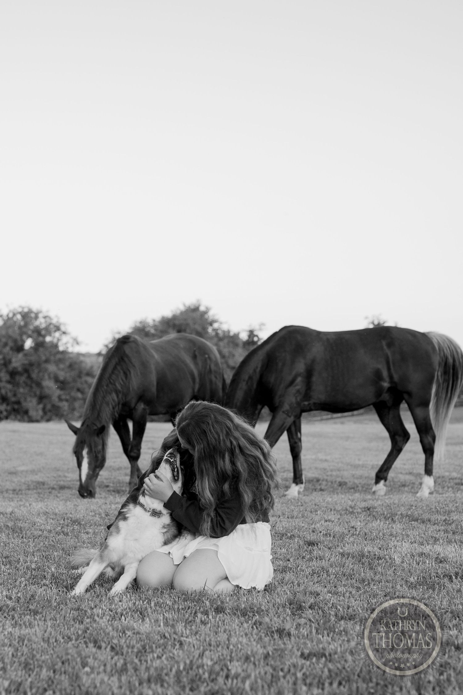 Black and white photo of two horses grazing while someone relaxes with their dog.