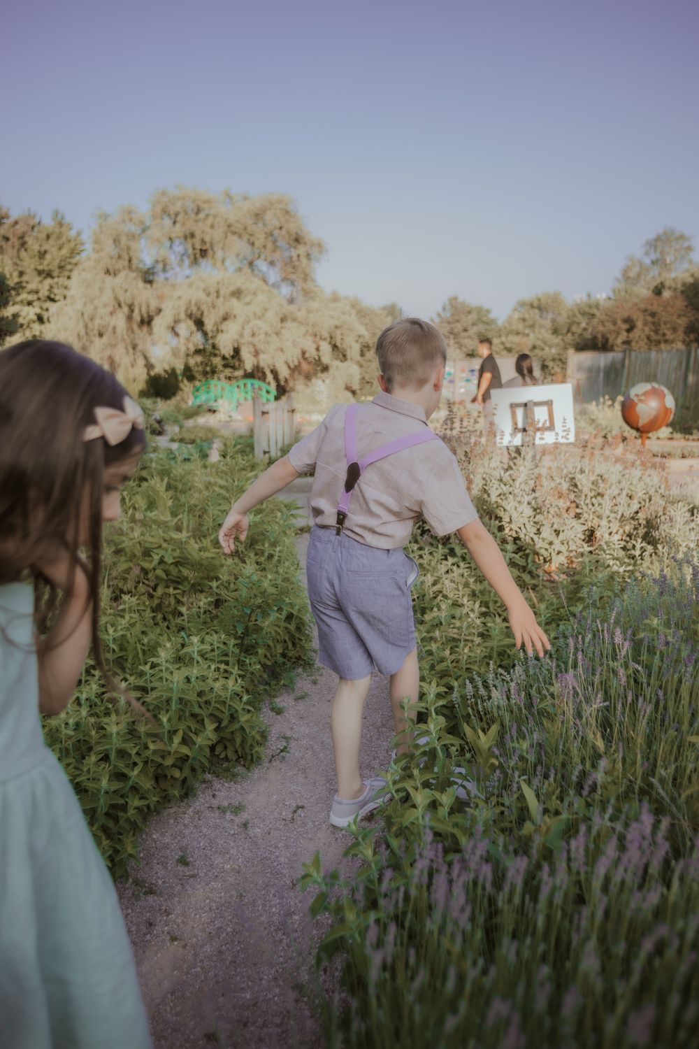 Four dreamy garden photos show two people exploring a blooming lavender patch along a dirt path at sunset.