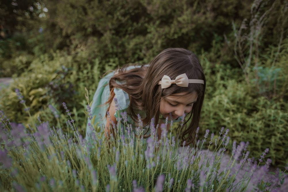 Someone leans over to smell blooming purple lavender flowers in a lush garden setting.
