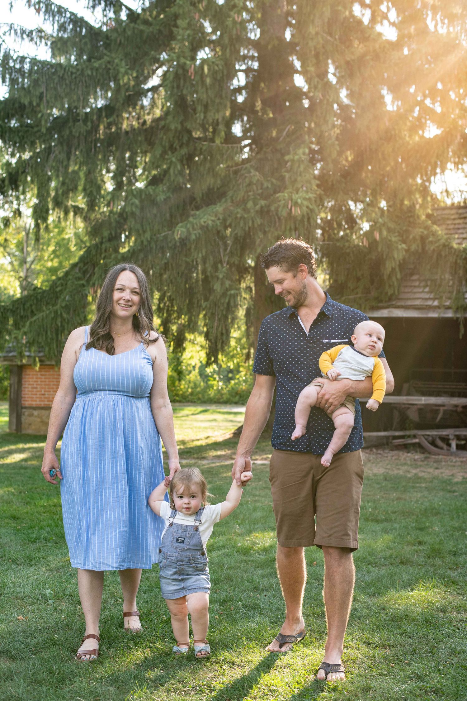 Family walks together on green lawn beside evergreen trees during golden hour sunset light.