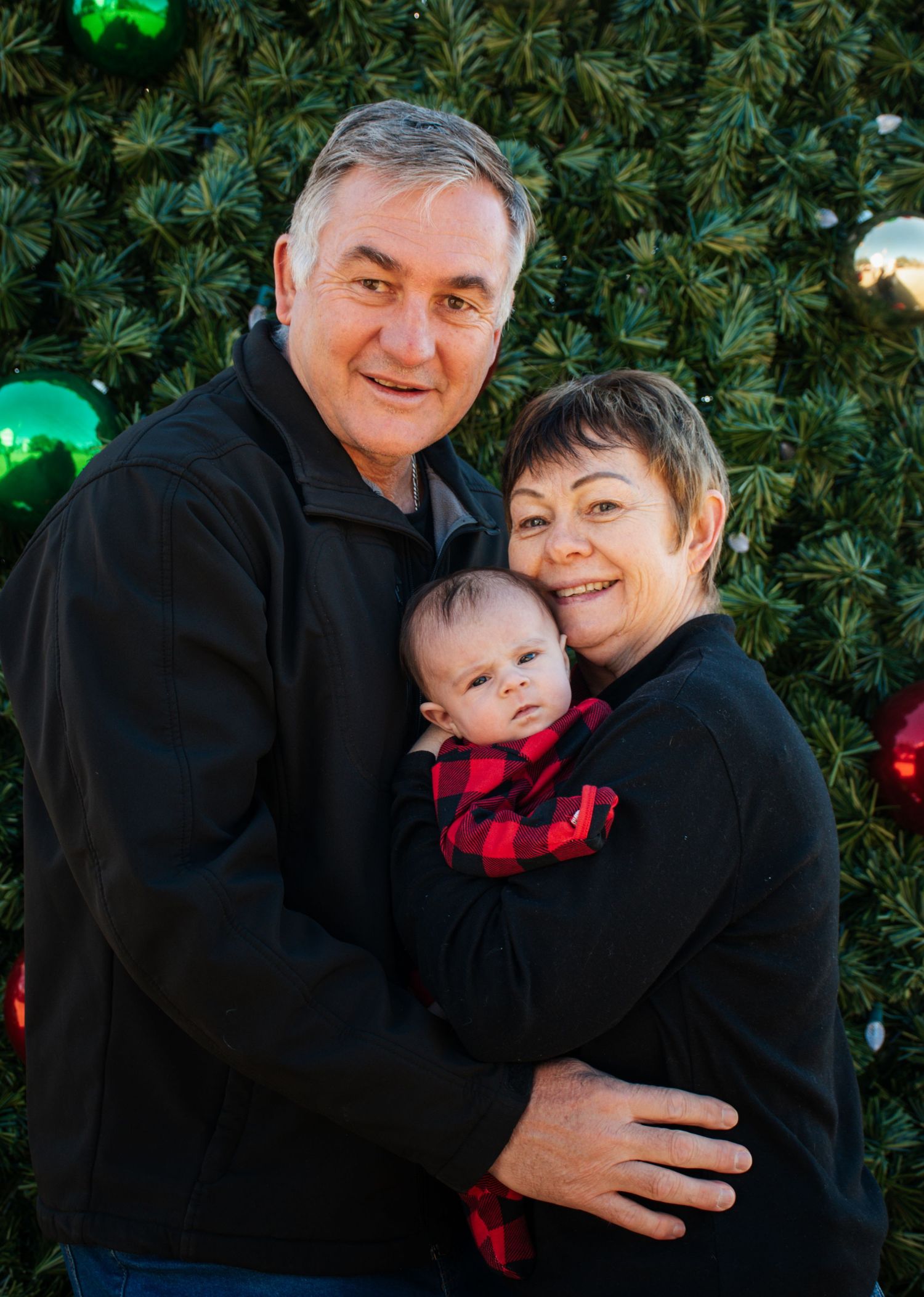 A series of warm family portraits showing affectionate embraces against a green foliage background.