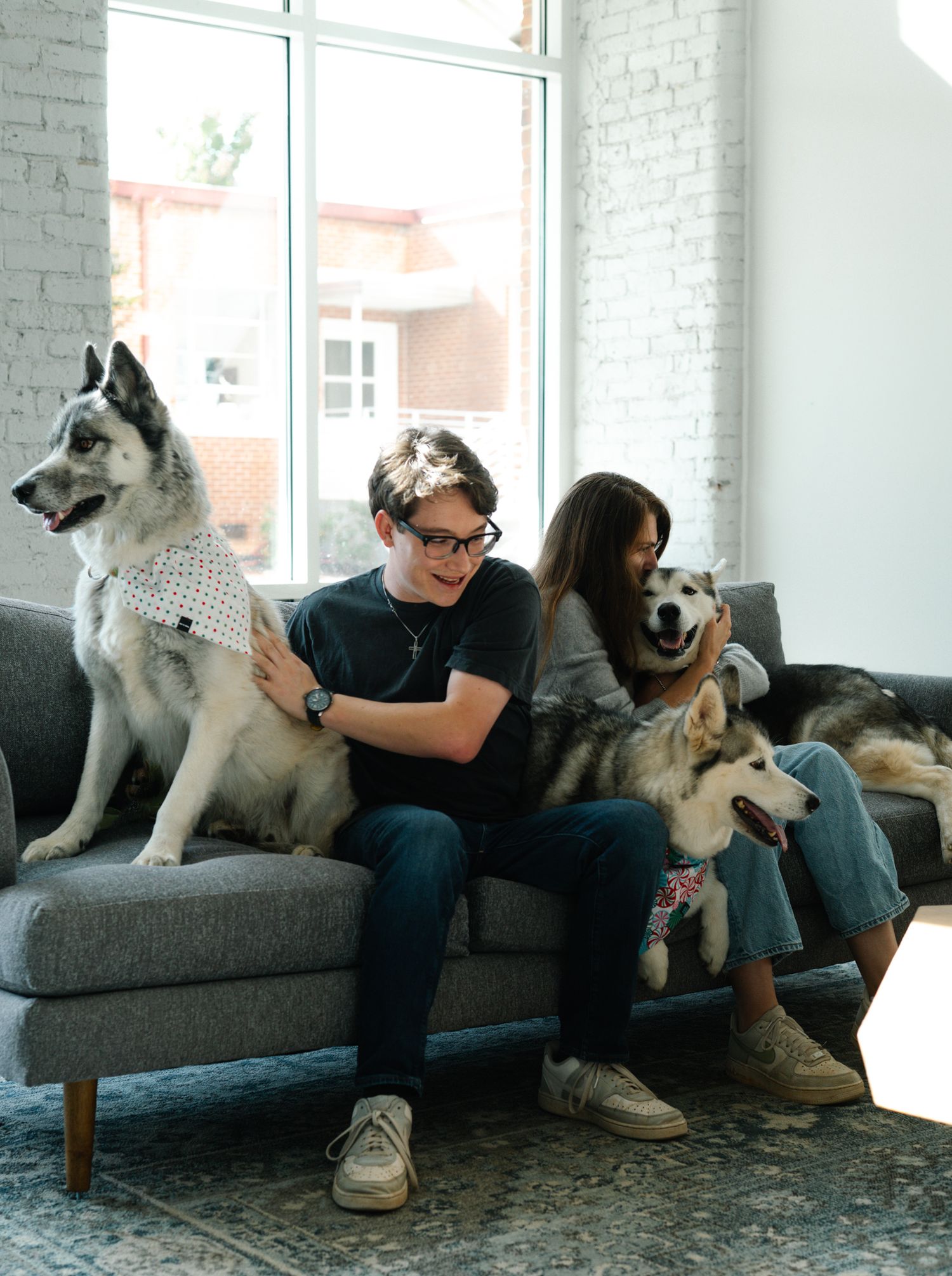 Husky dogs lounging with their owners on a gray couch in a bright modern living room.