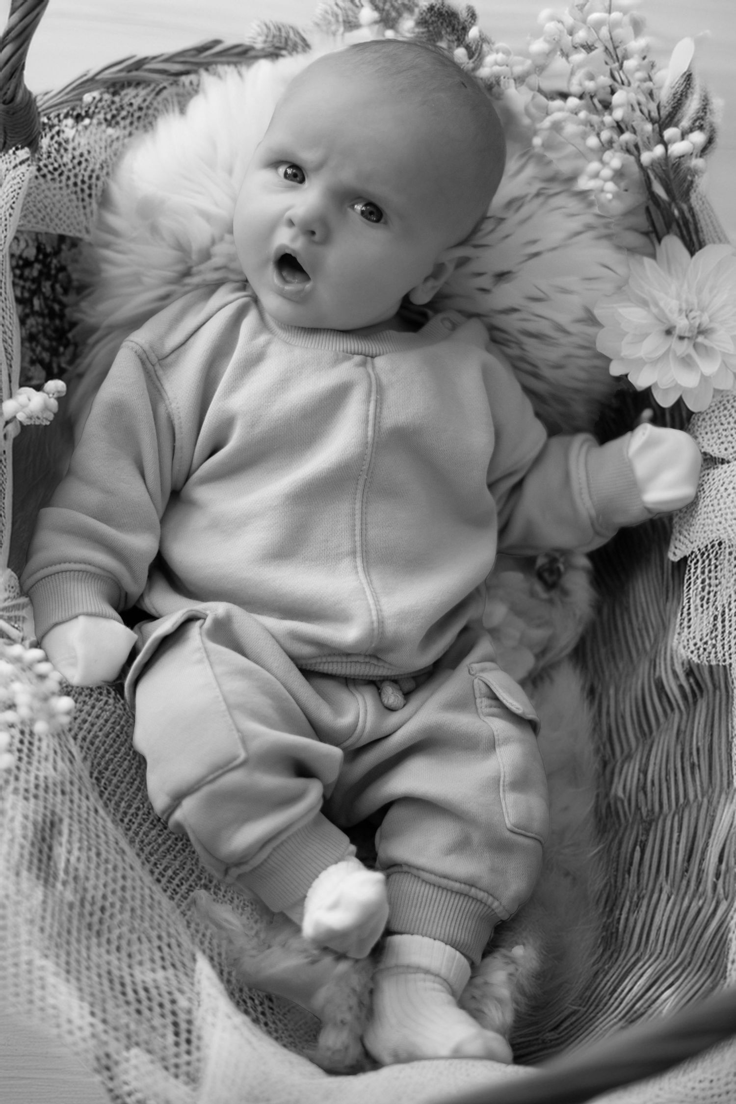 A baby in soft gray clothing lies on a blanket surrounded by white flowers in a black and white portrait.