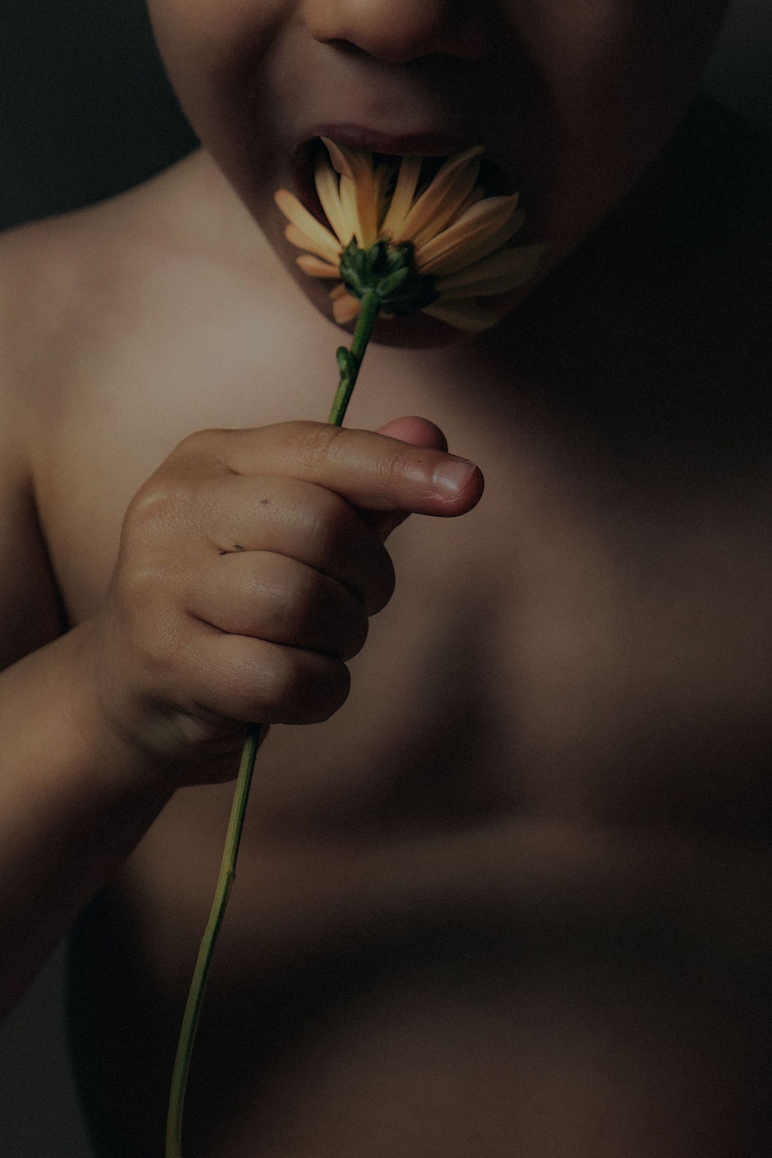 Hunger for life, portrait exhibited at Glasgow gallery of photography. Crop of child about to eat yellow flower.Moody vibe.