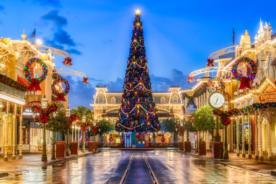 Illuminated Christmas tree and decorated Main Street at Disney theme park during twilight hours.