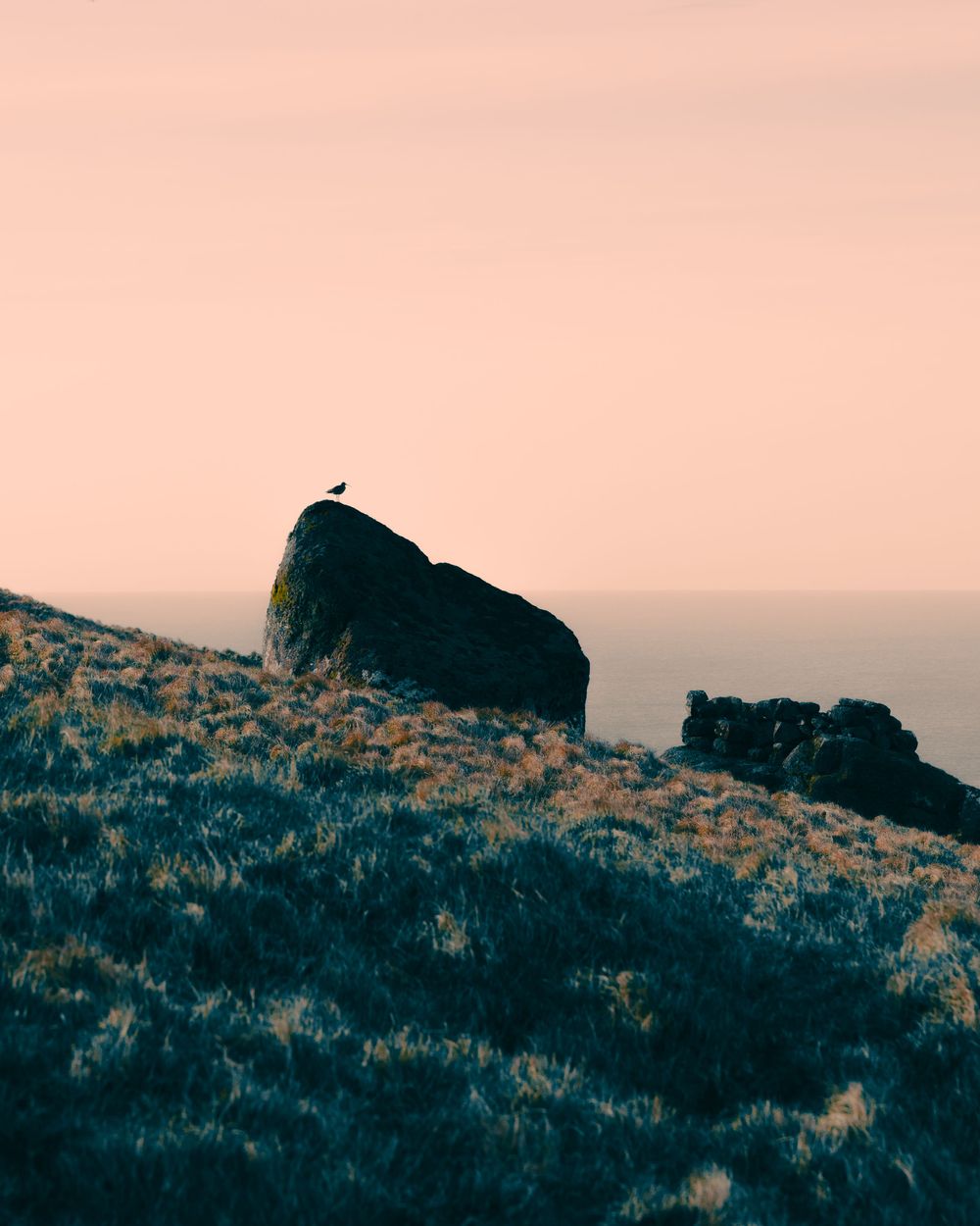 A lone bird perches atop a dark rocky outcrop against a pink sunset sky on a grassy hillside.