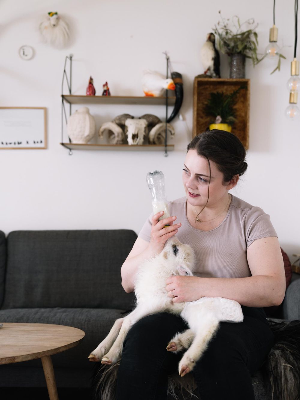 A person in a gray shirt sits on a dark couch with a white cat in their lap, smiling in a cozy living room setting.