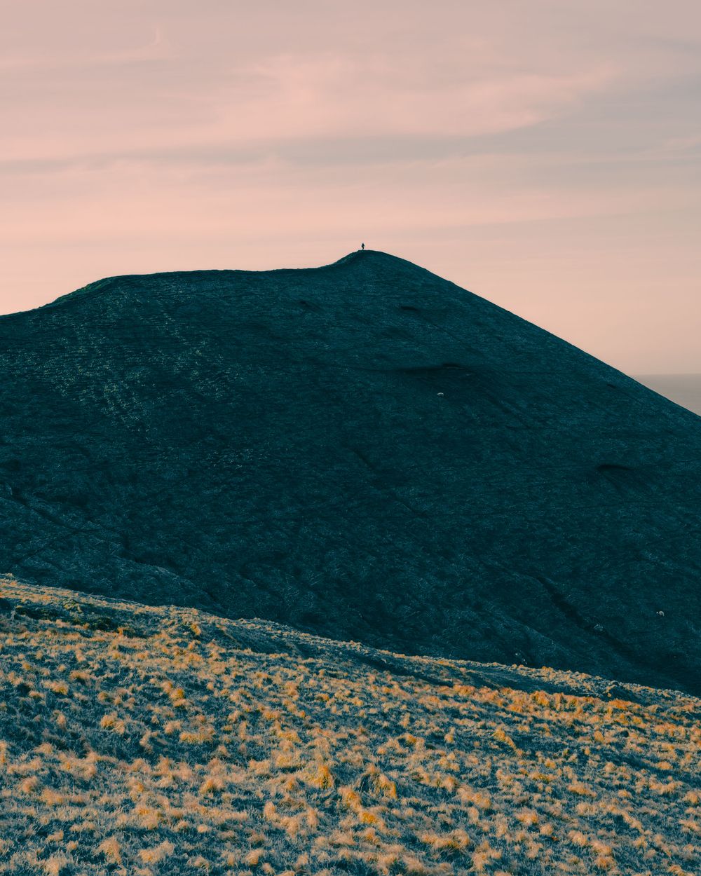A mountainous desert landscape with scrub brush vegetation against a dusky pink sky.