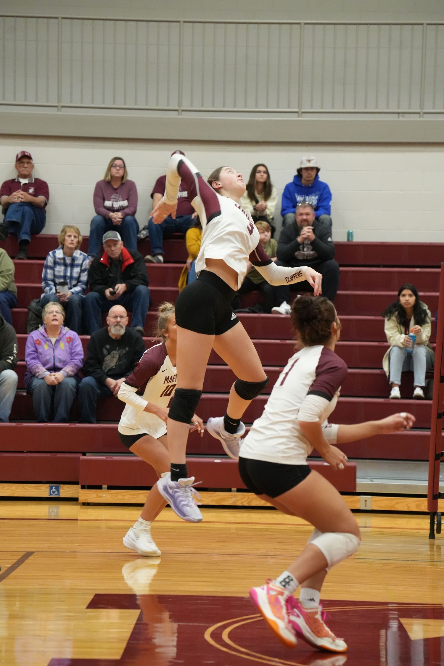 Martin volleyball player jumps to spike the ball over the net during an indoor match with teammates in the background.