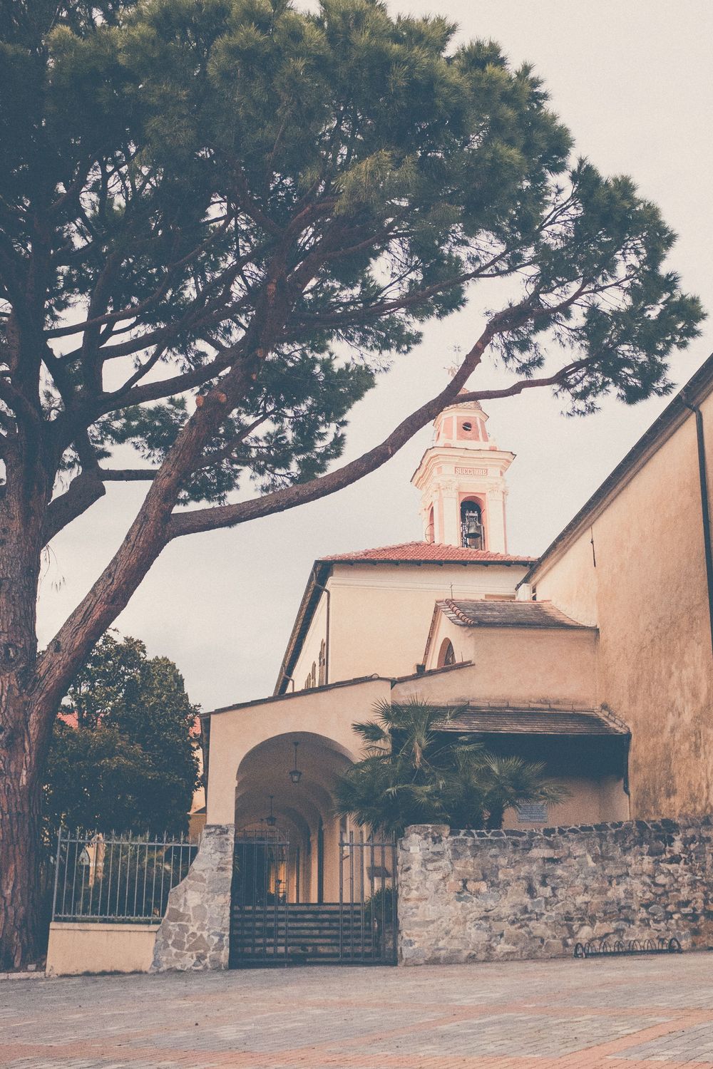 A rustic Mediterranean church with stone walls and bell tower framed by a large pine tree against a pale sky.
