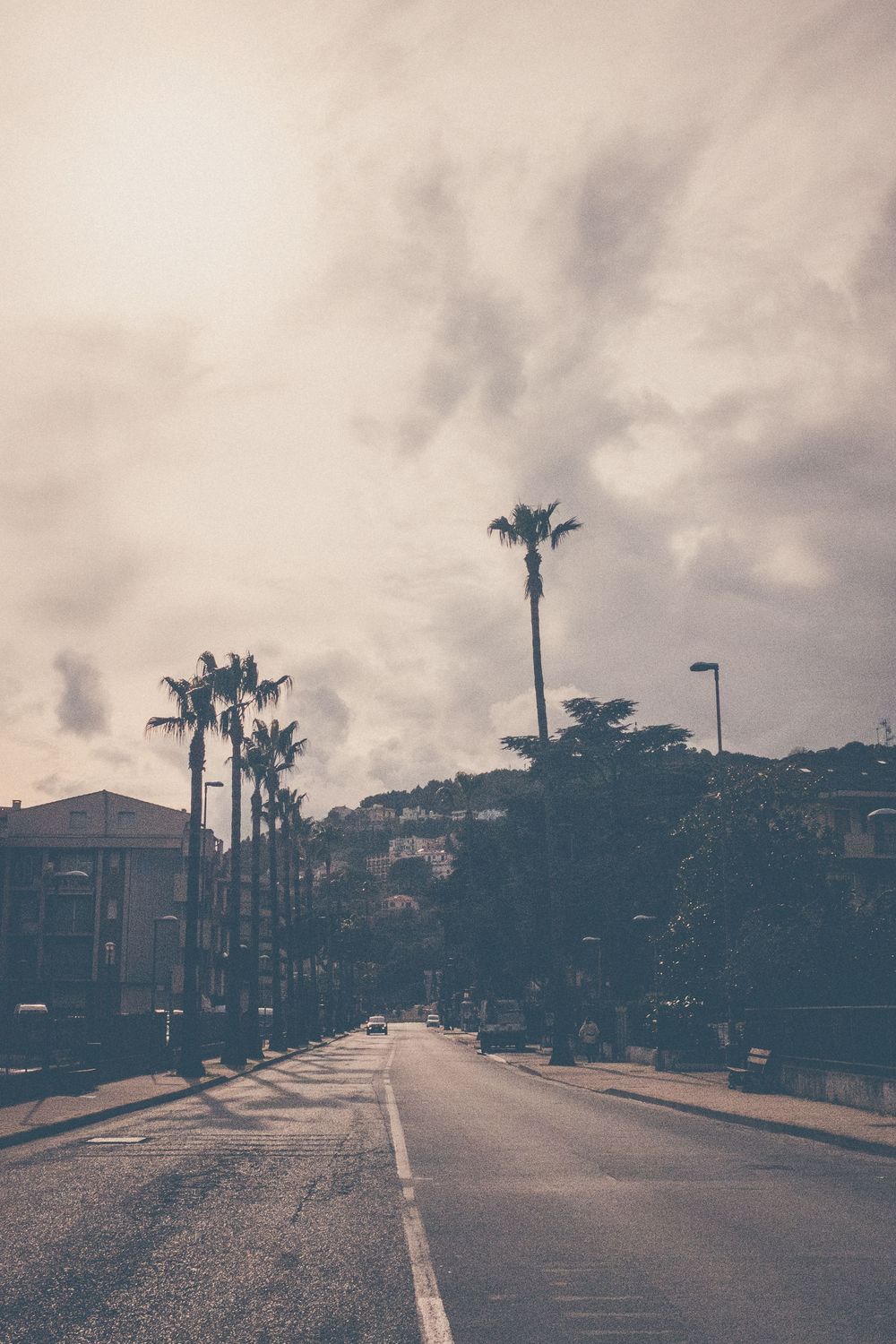 Palm trees line a moody street on an overcast day with dramatic cloudy sky and vintage atmosphere.