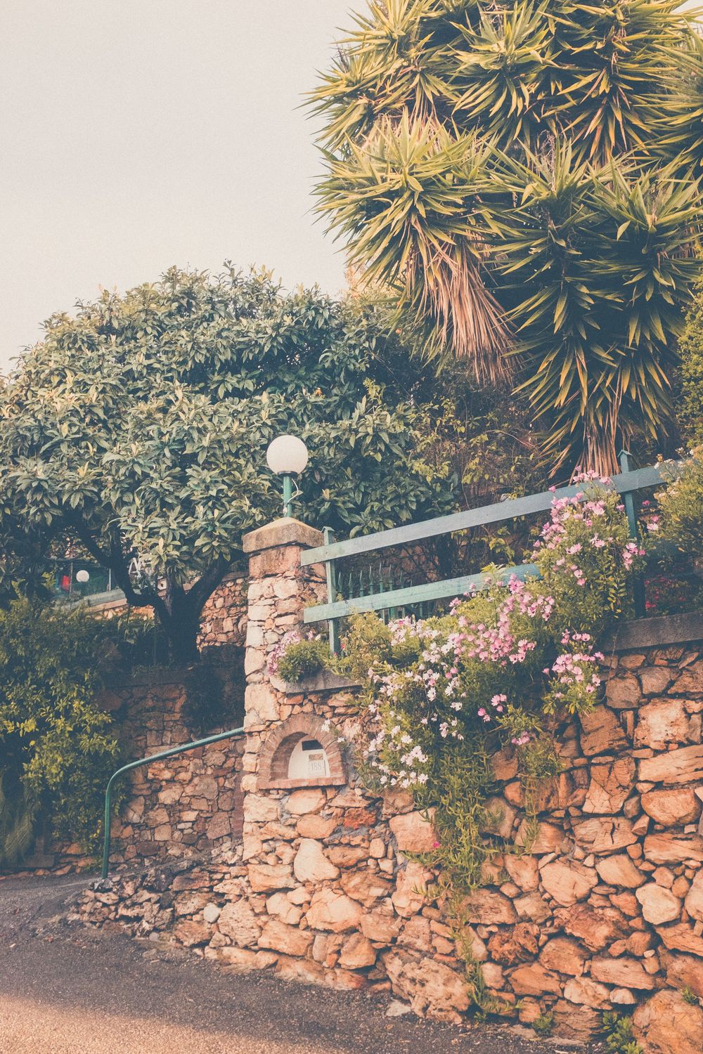 Rustic stone wall with climbing roses and palm trees along a pathway features a vintage mailbox and globe light fixture.