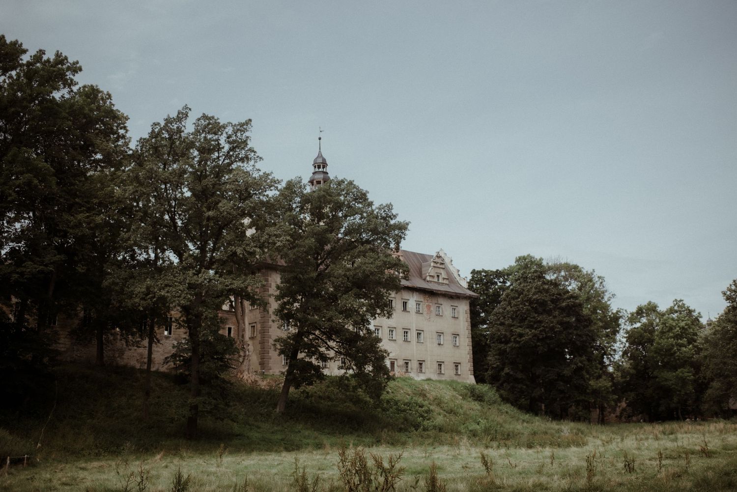 A moody atmospheric shot of an old stone castle surrounded by trees on a misty hillside.