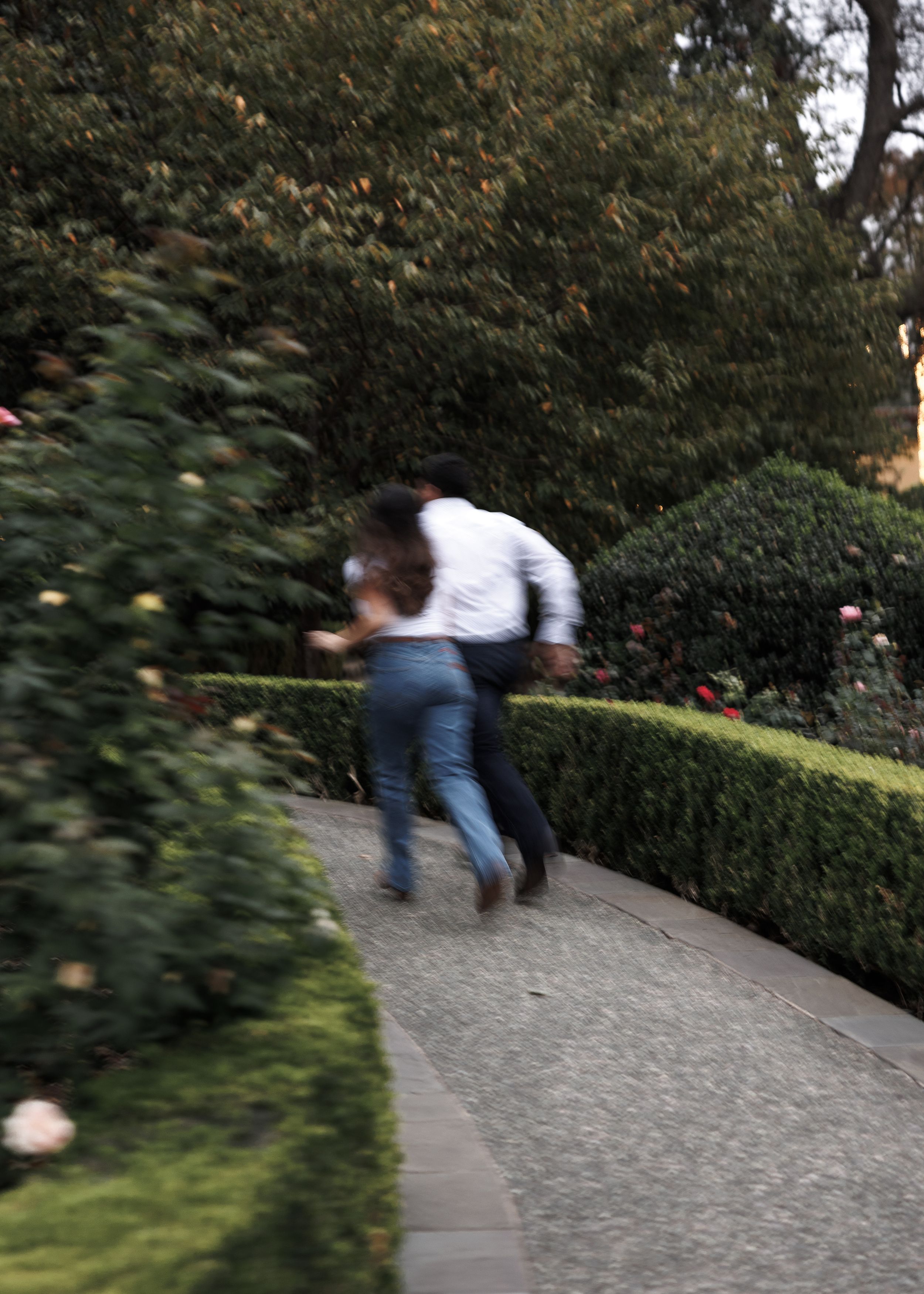 Two people in casual attire walk swiftly along a curved garden path bordered by manicured hedges and shrubs.
