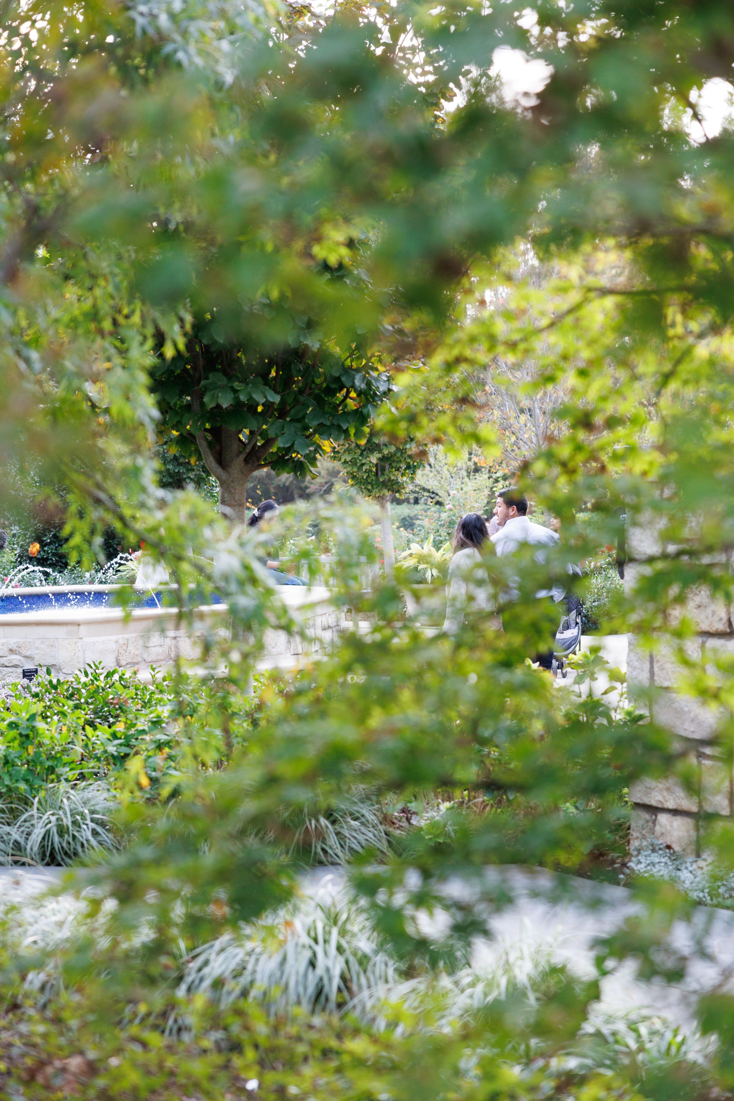 A peaceful garden scene viewed through green foliage with soft bokeh effect and a boat visible in the background.