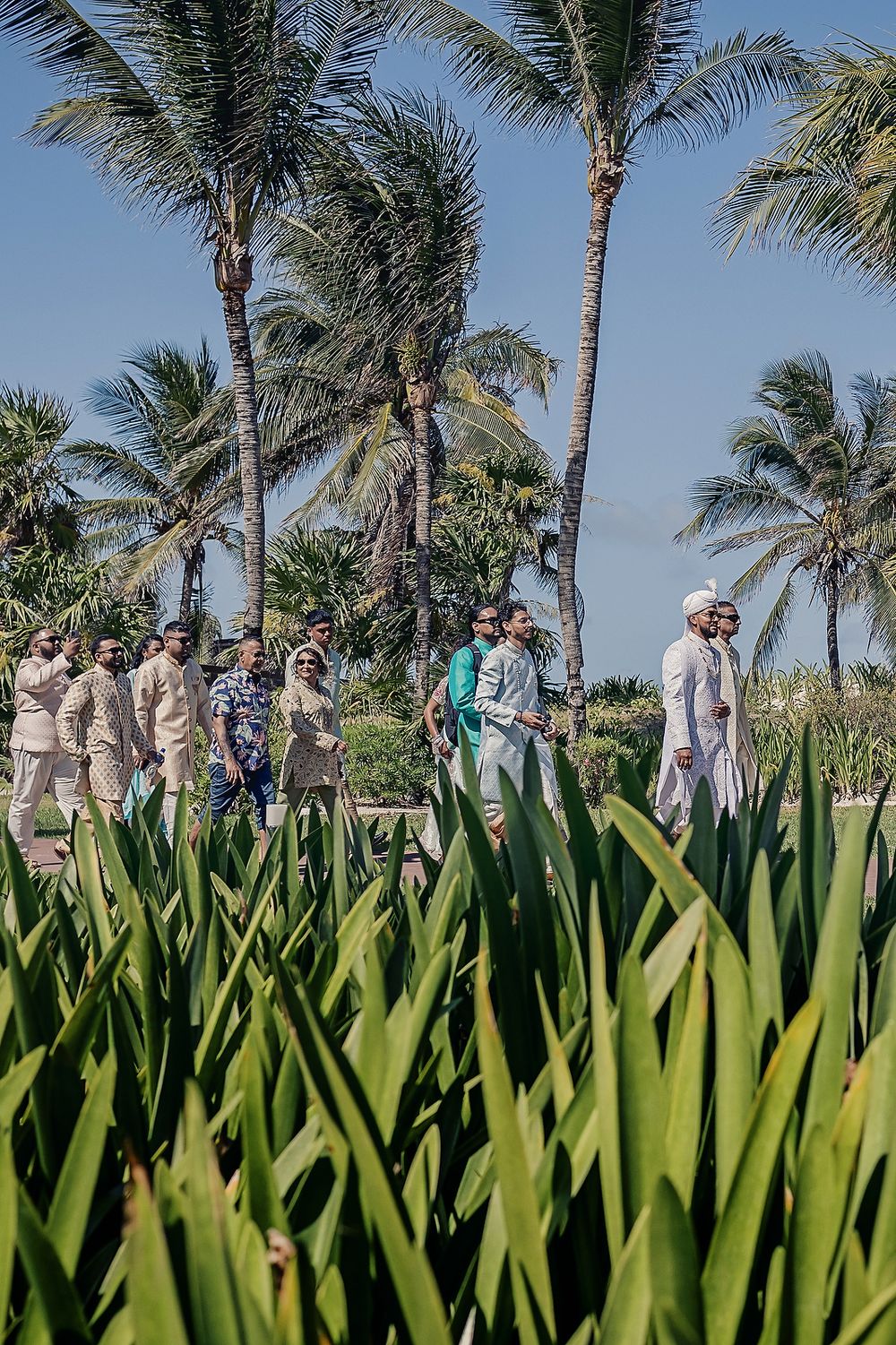 Wedding guests gather on a tropical beach path lined with tall palm trees and tropical foliage on a sunny day.