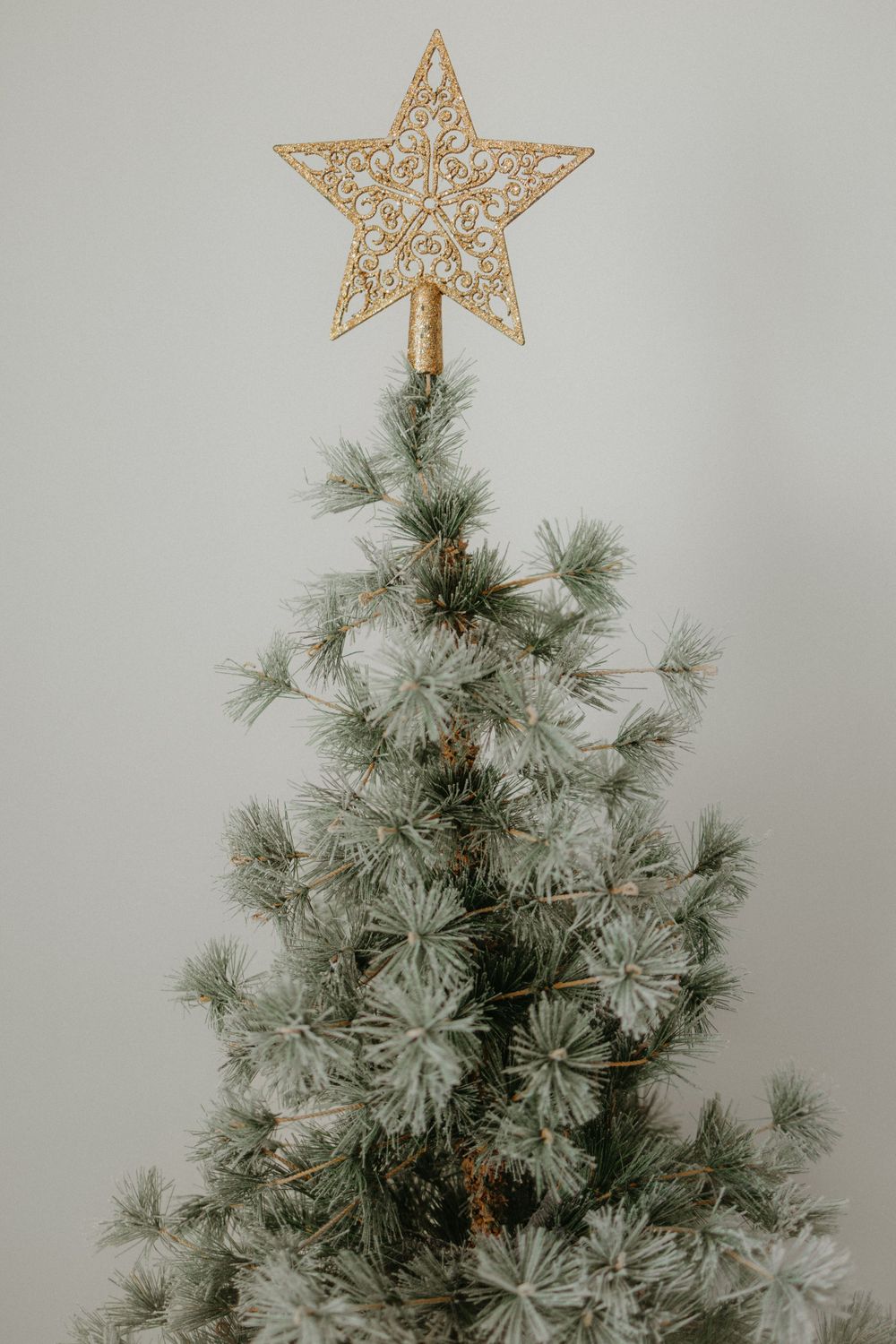 Close-up of golden glittery star tree topper on frosted pine Christmas tree.