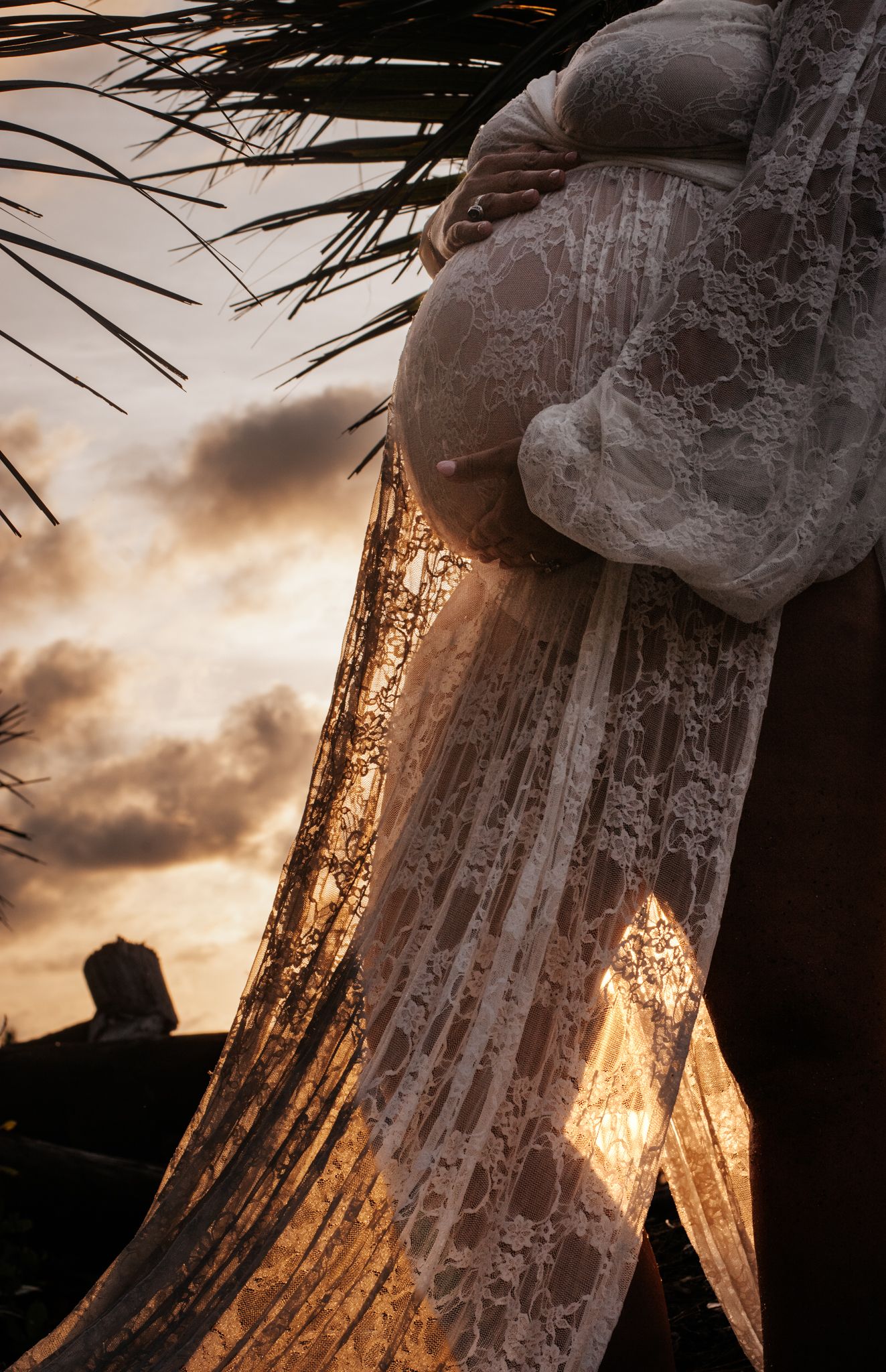 Dramatic sunset silhouette through flowing lace fabric and palm fronds.