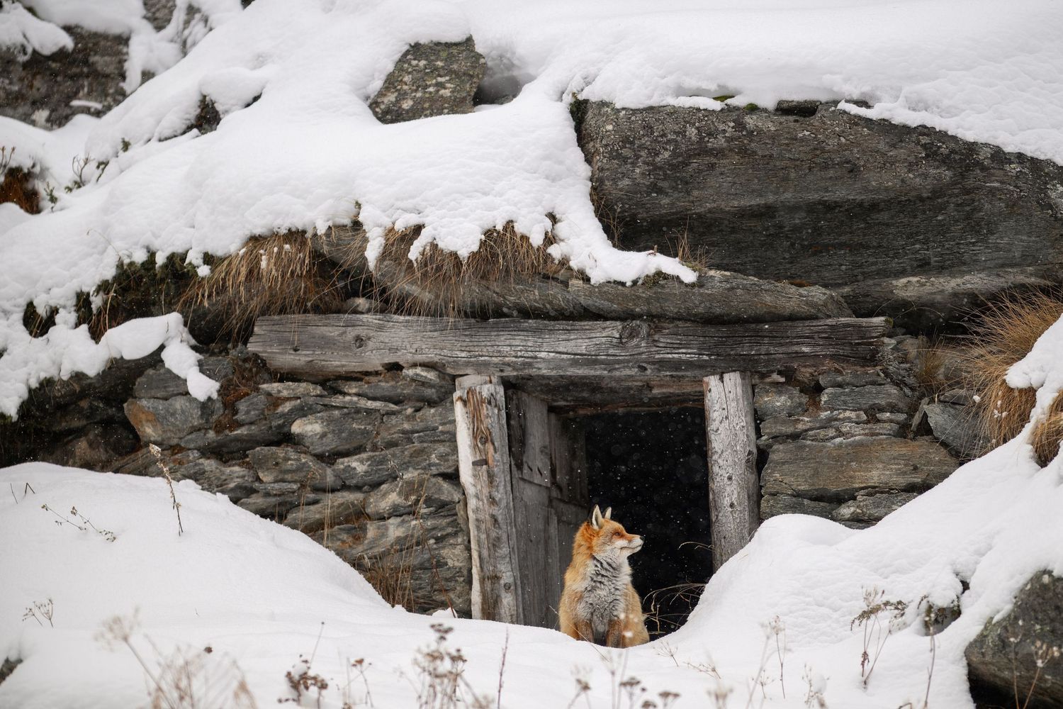 Snow covered wooden structure with rustic beams and stone walls in a mountainous winter landscape.