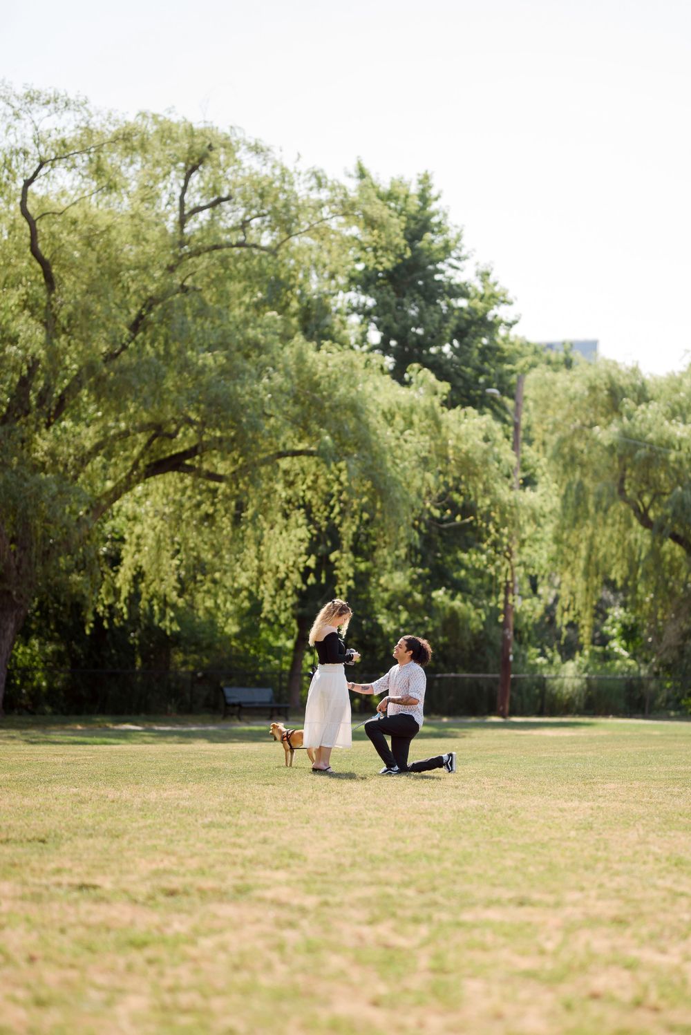 A couple shares a romantic proposal moment in a park with weeping willow trees creating a scenic backdrop.