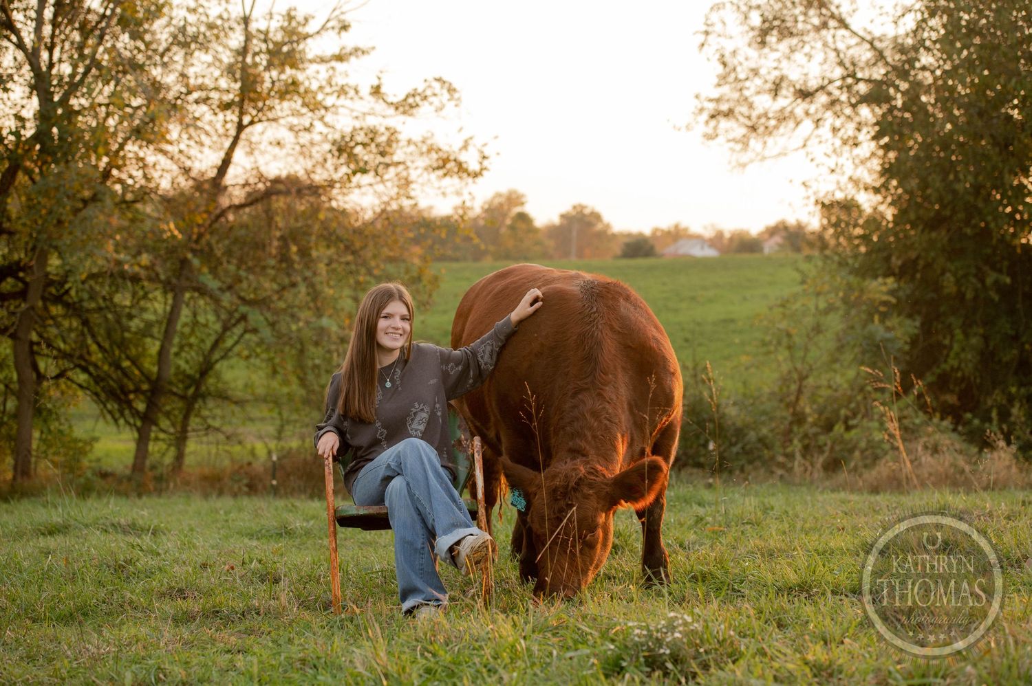 A rustic outdoor portrait features someone seated in a wooden chair beside a grazing brown cow.