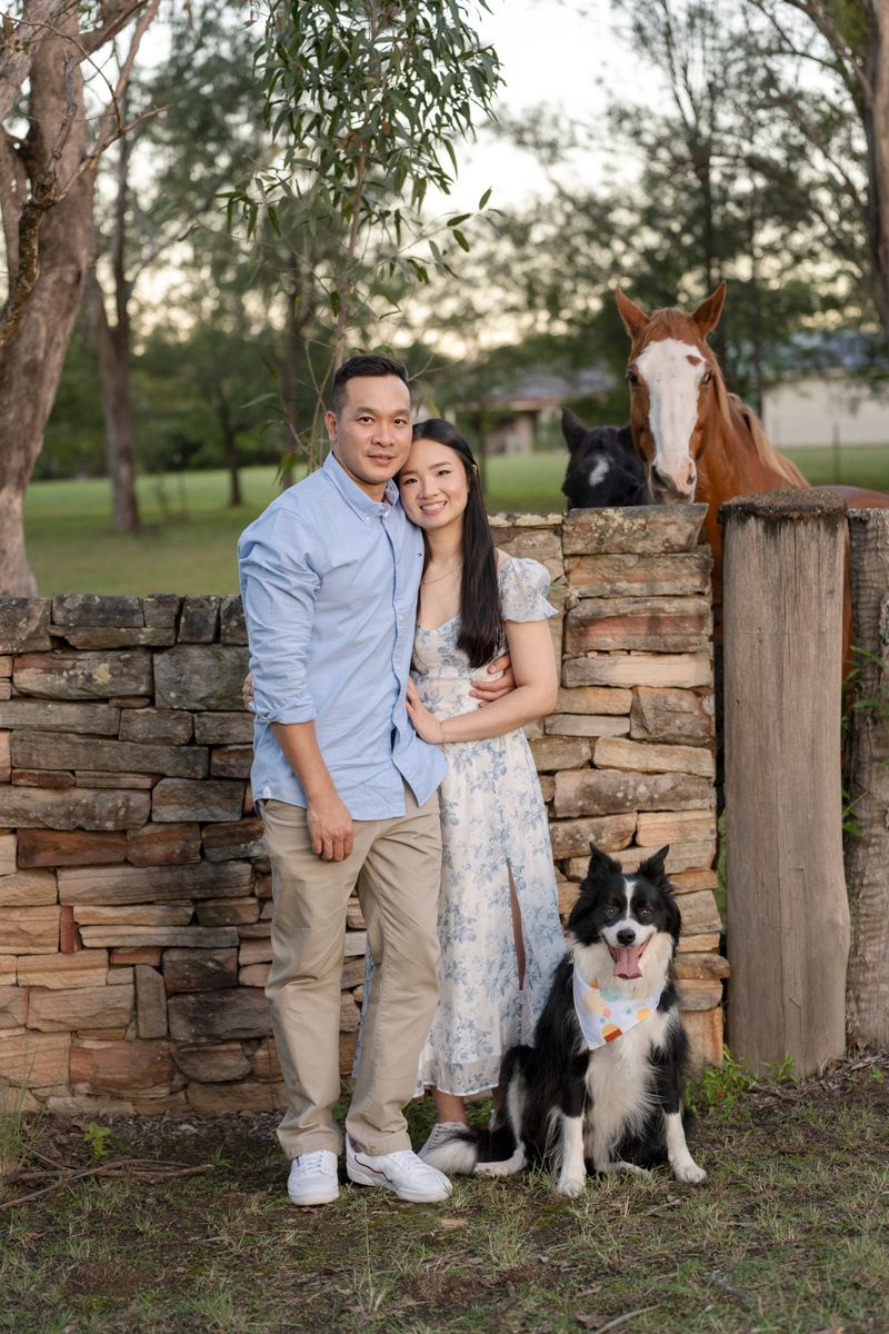 a couple and their border collie hugging while a horse peaking through a fence in Sydney photoshoot