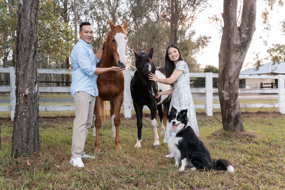 two horses and a couple with their border collie meeting the horses for a photoshoot in the western Sydney Gables