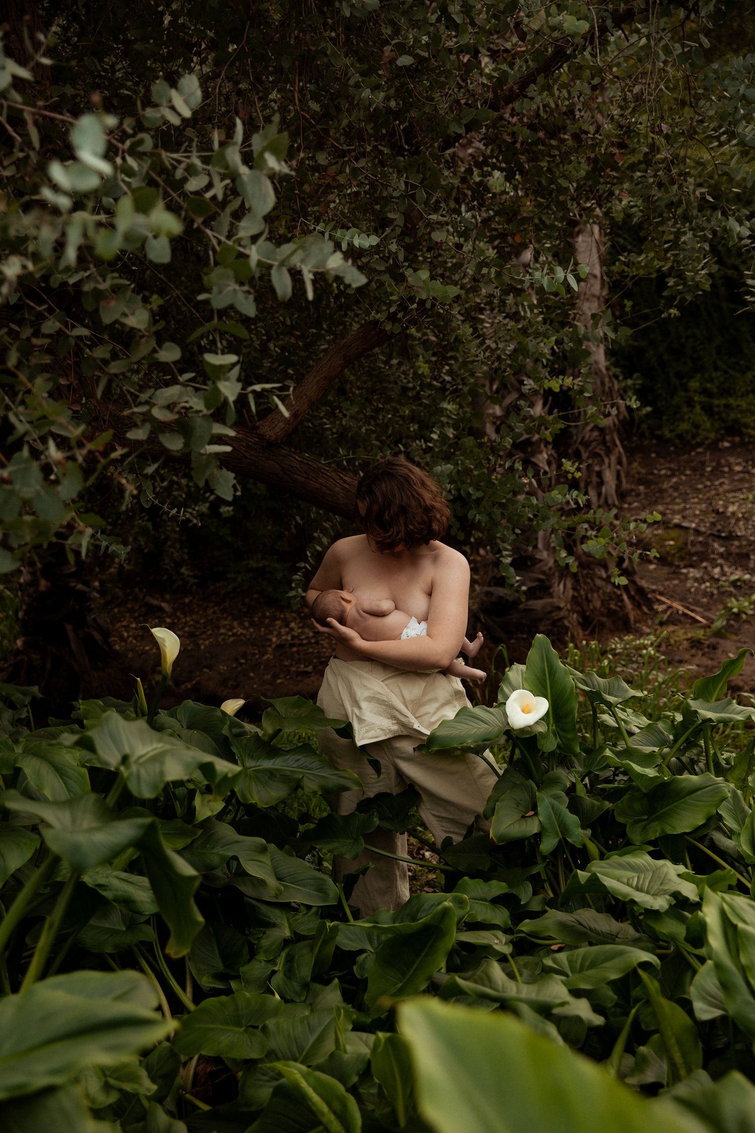 A peaceful garden scene with lush vegetation and dappled sunlight.