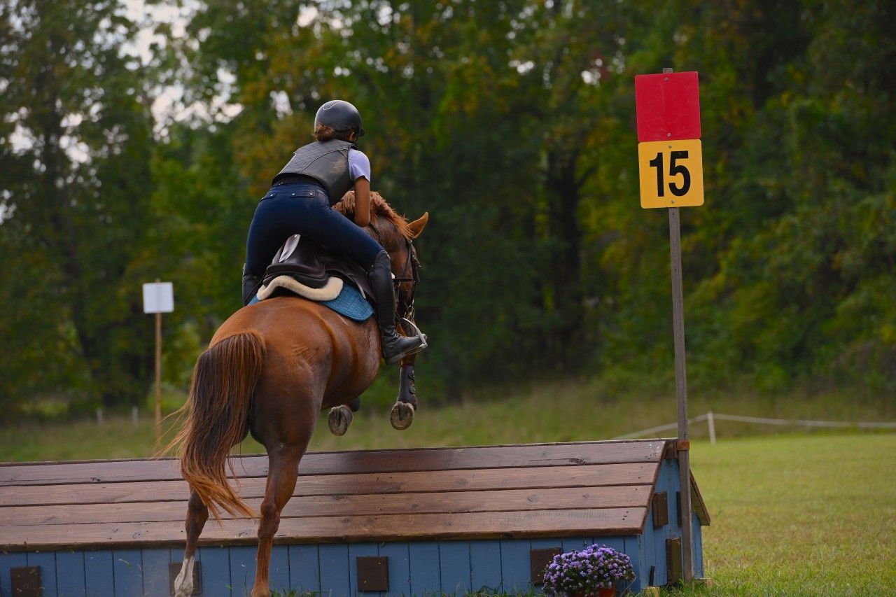 a chestnut horse and rider competing XC
