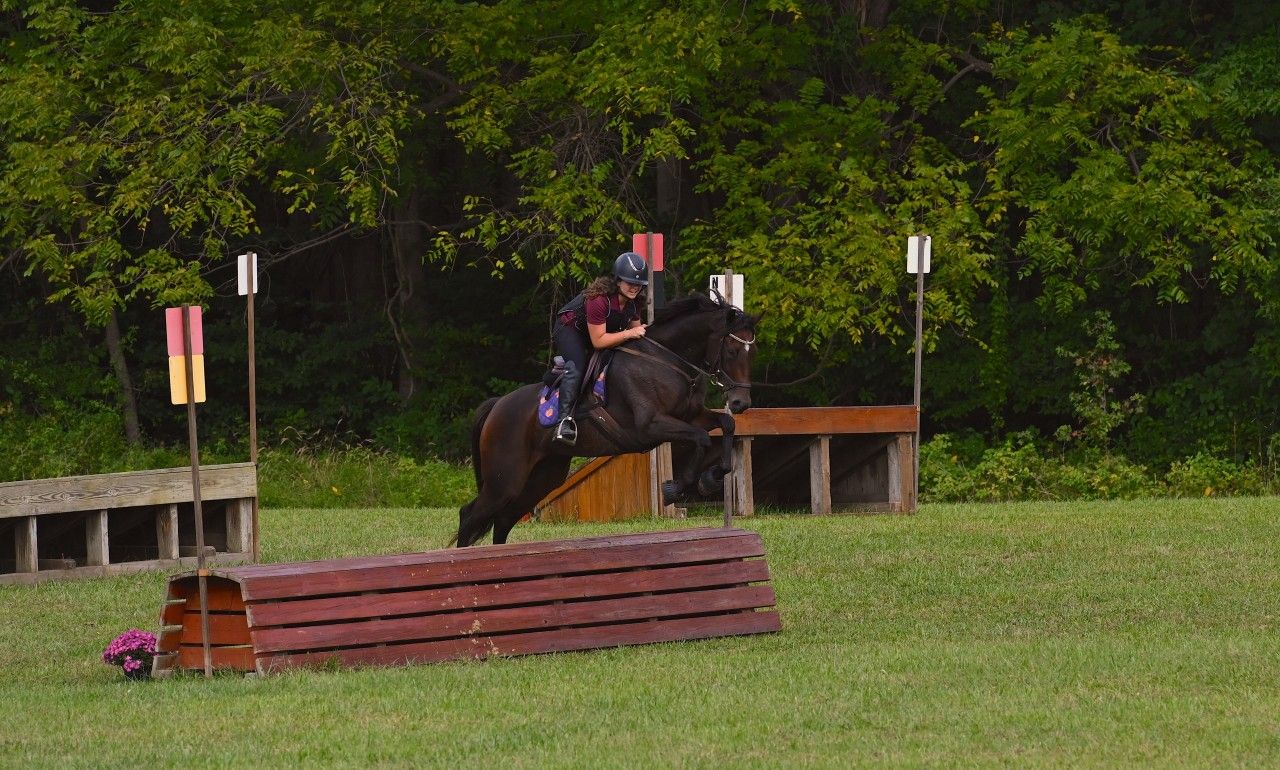 a bay horse and rider competing XC