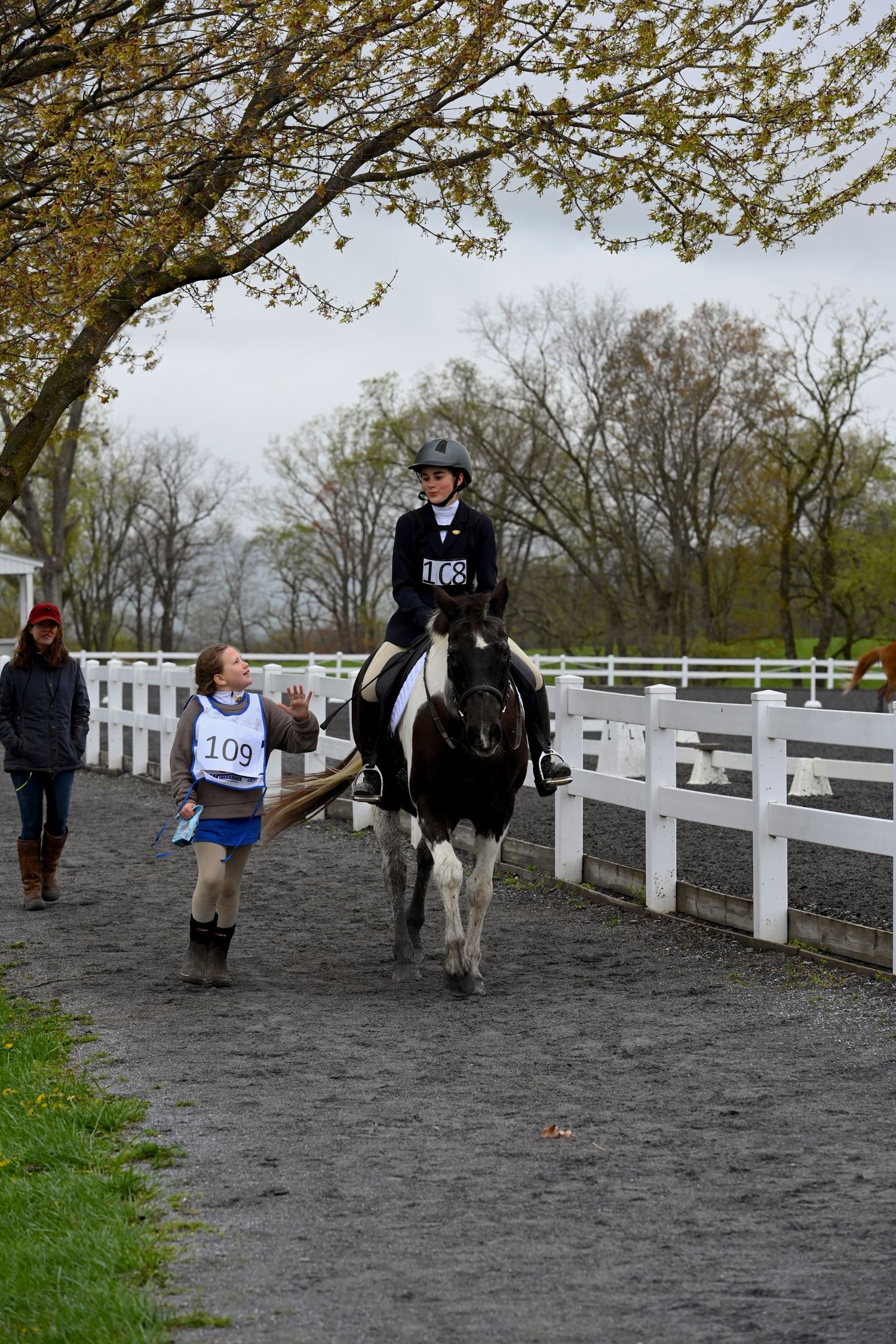 a black paint and rider walk back from the show ring with a teammate