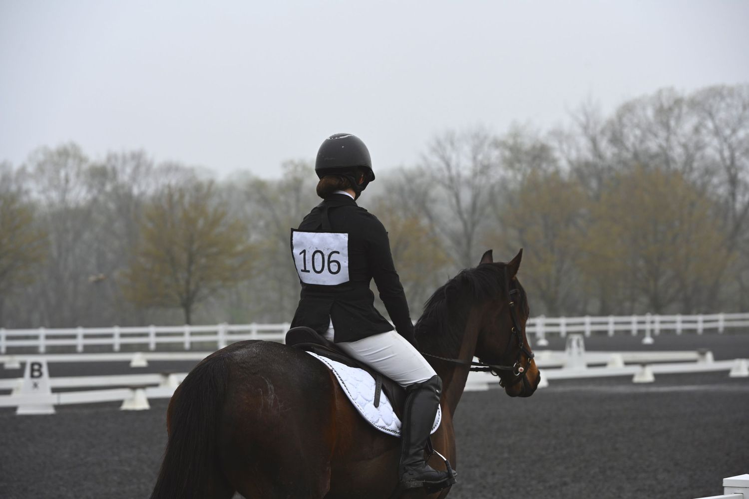 a bay horse and rider competing dressage