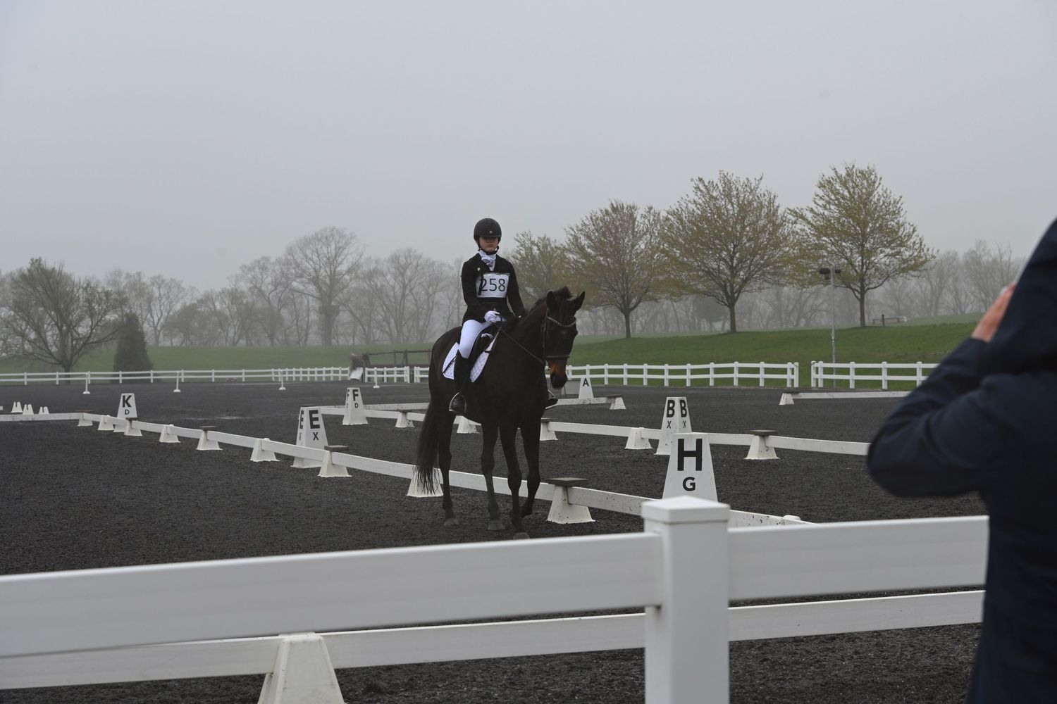 a bay horse and rider competing dressage
