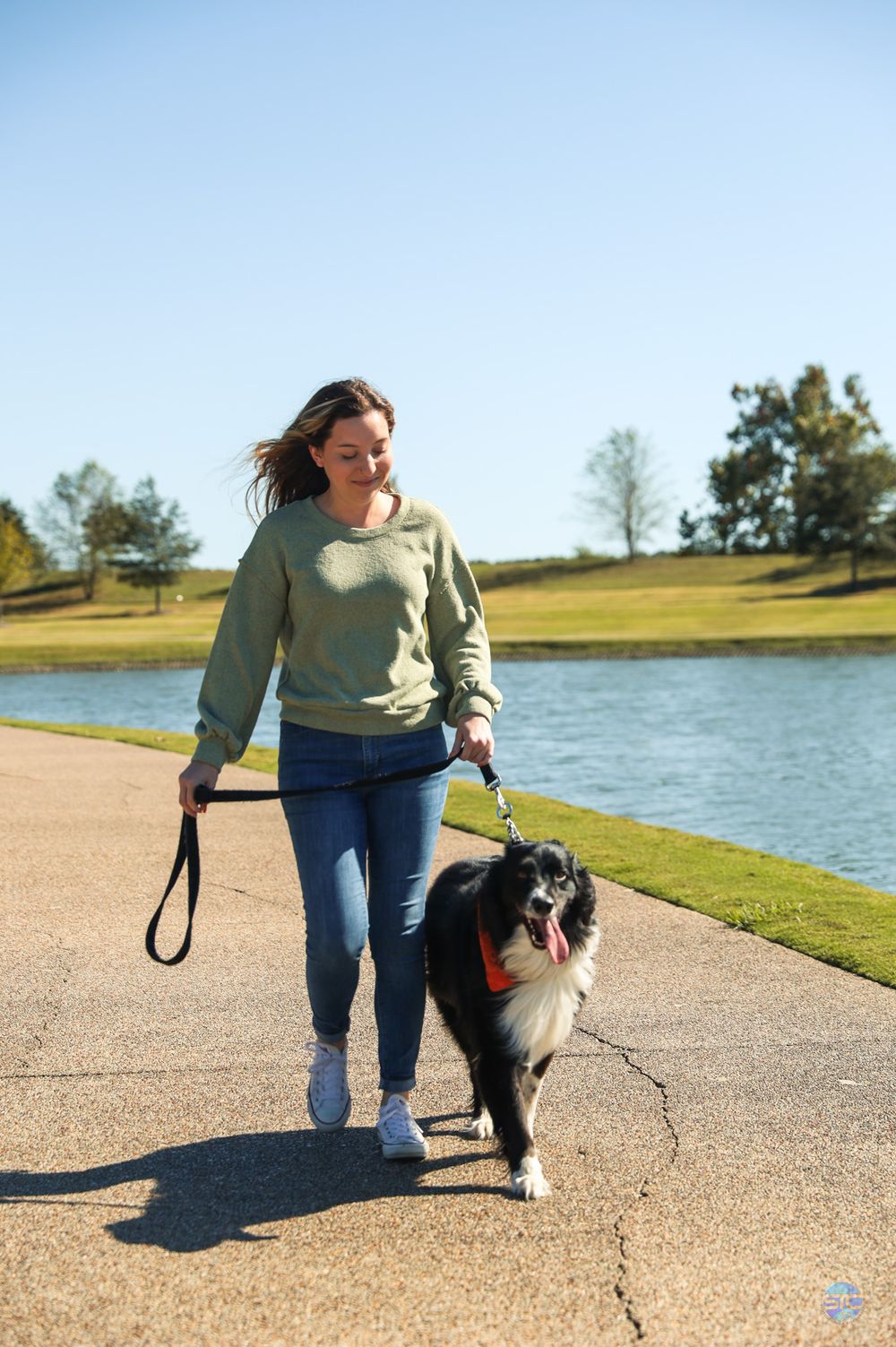 A person walks with their Border Collie on a paved path alongside a scenic lake on a sunny day.