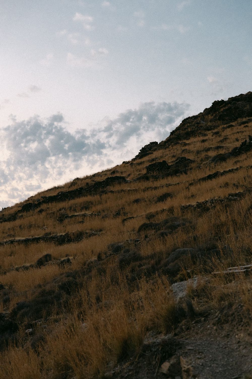 Golden hillside with terraced slopes against a pastel sunset sky.