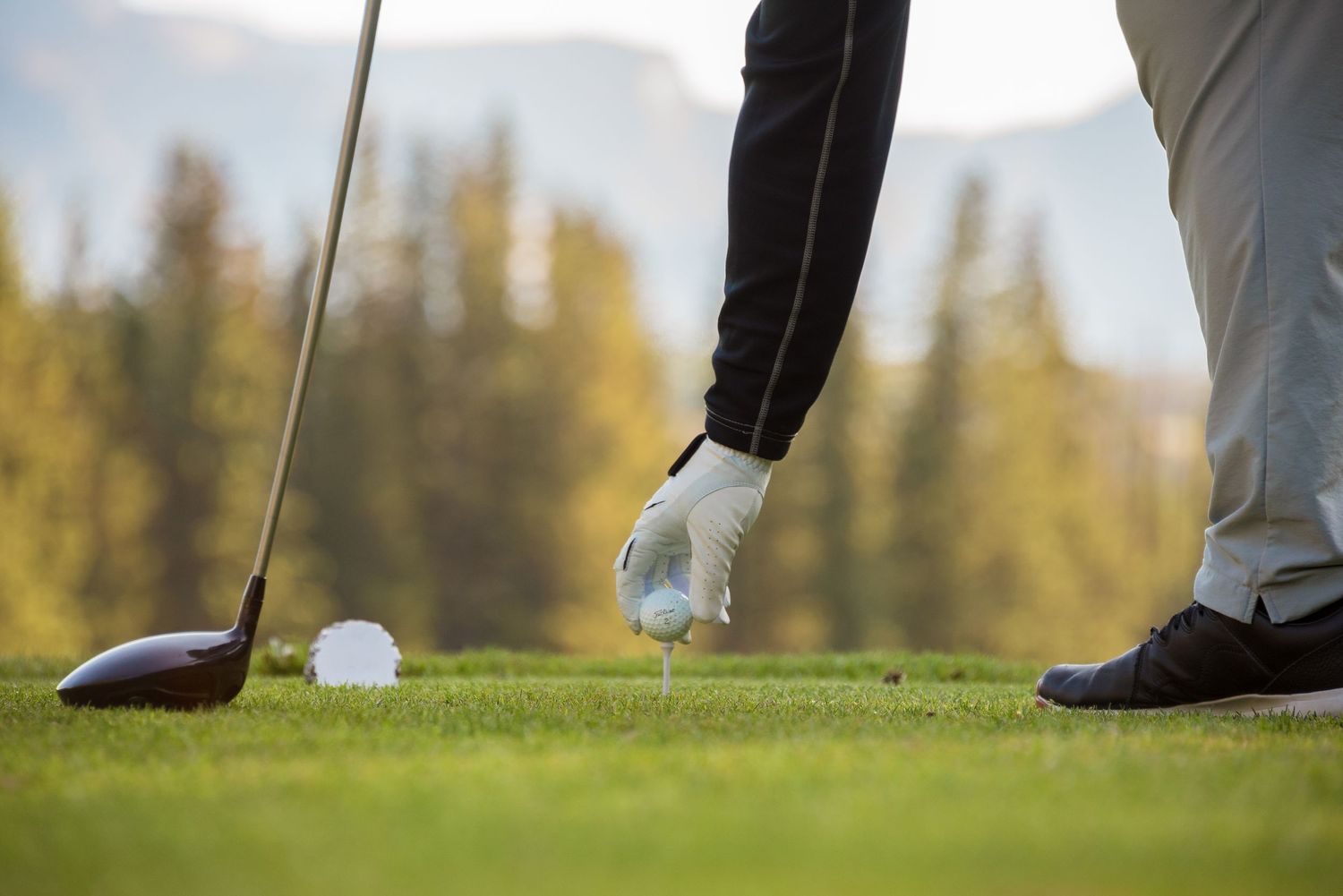 Close-up view of a golfer placing a golf ball on a tee against a blurred forest background during daytime.