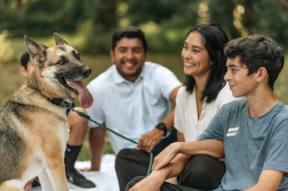 German Shepherd sits with family group during outdoor portrait session.