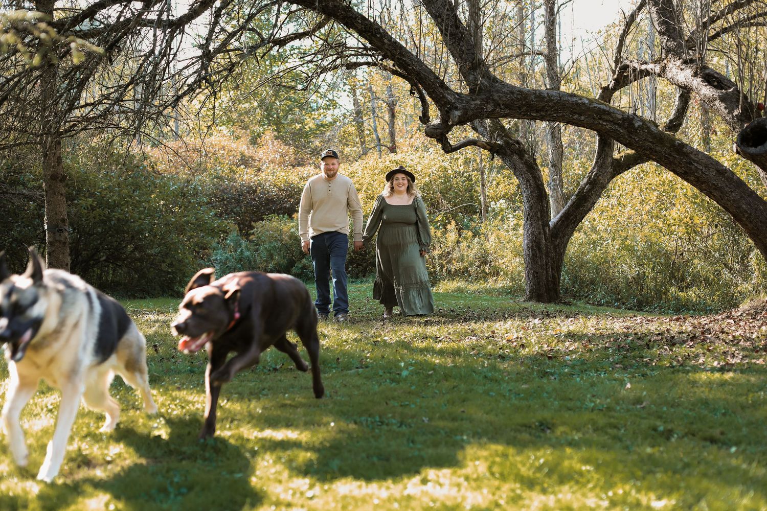 Two people stand in a lush garden area while dogs play and run in the sunlit grass under large overhanging trees.