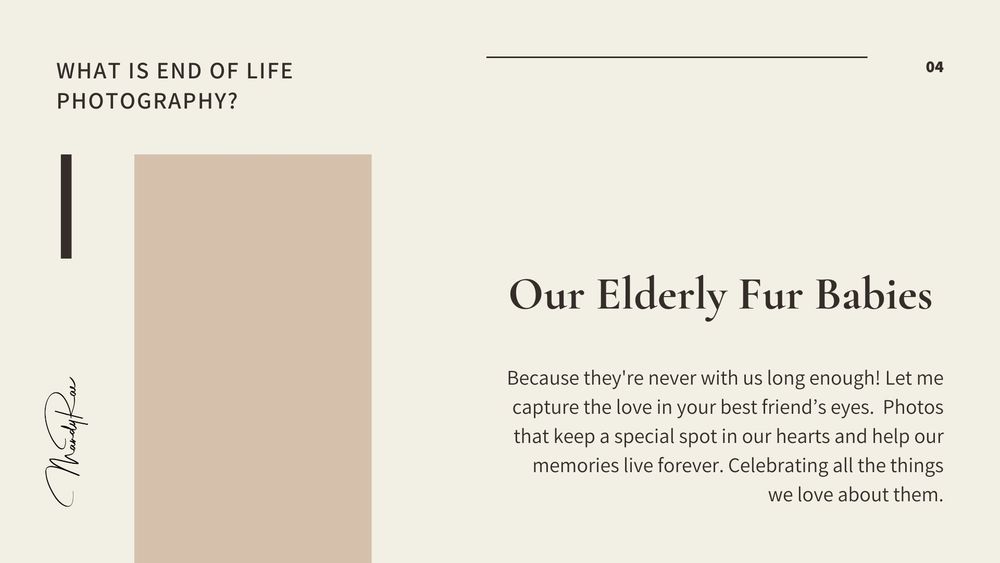 A minimalist beige book page layout with the heading 'Our Elderly Fur Babies' and text about end of life pet photography.