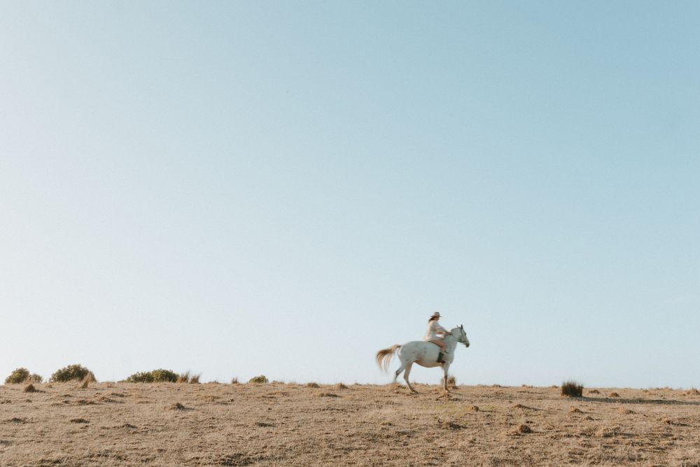 Person riding a white horse across an arid open landscape under a clear blue sky.