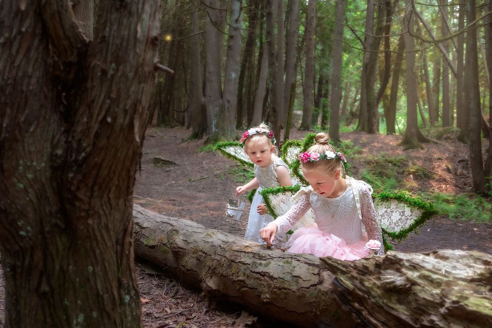 A magical woodland fairy-themed photo session features delicate pink tulle and floral arrangements among towering forest trees.