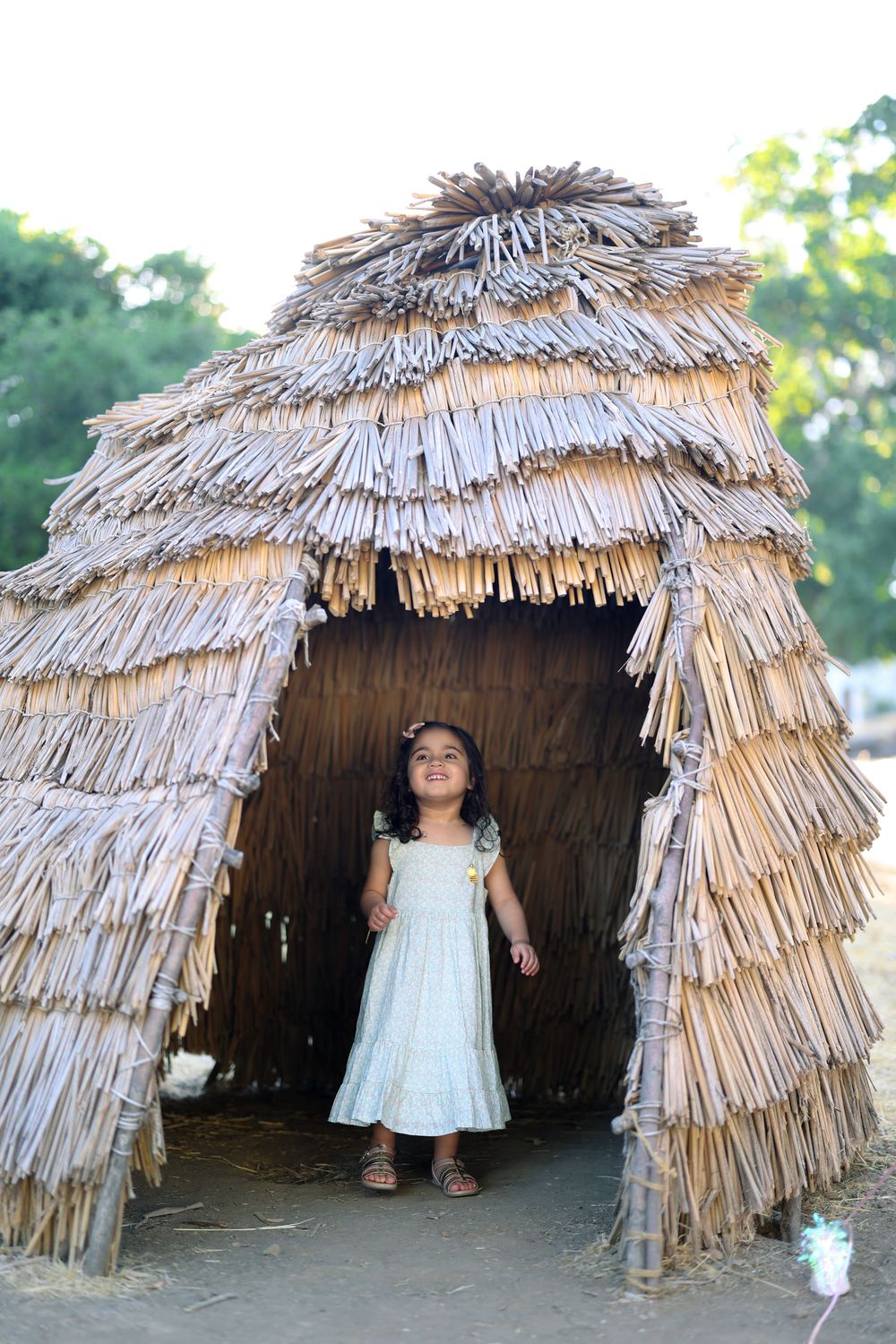 j dhillon photography bay area east bay and central valley family photographer. portrait photographer. Almond Blossom Session.