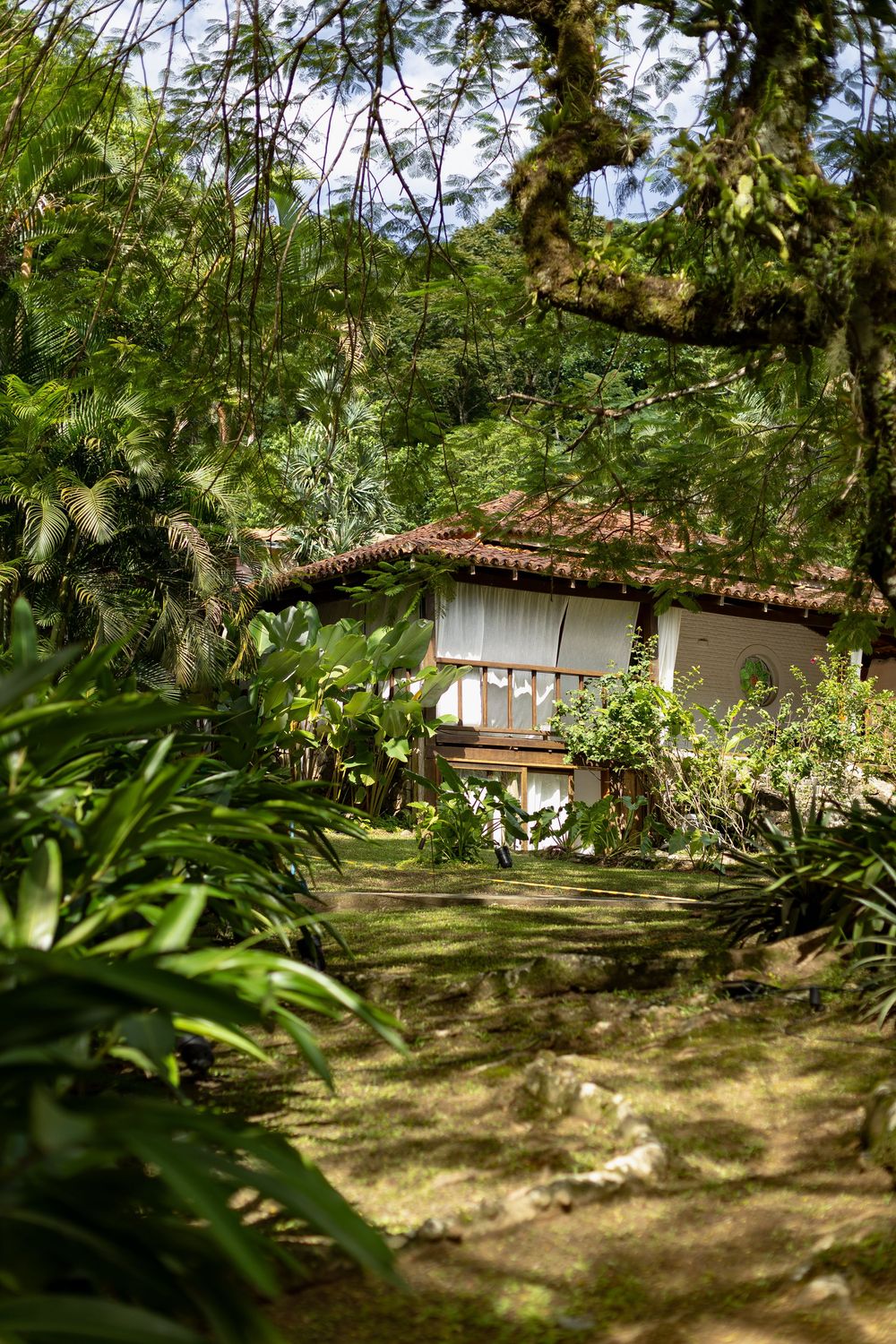 Tropical garden path leading to a rustic house with a tiled roof surrounded by lush green vegetation and trees.