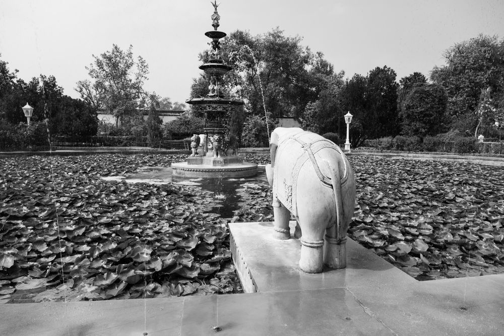 Metapixels Photography
Copyright Image 2023
India